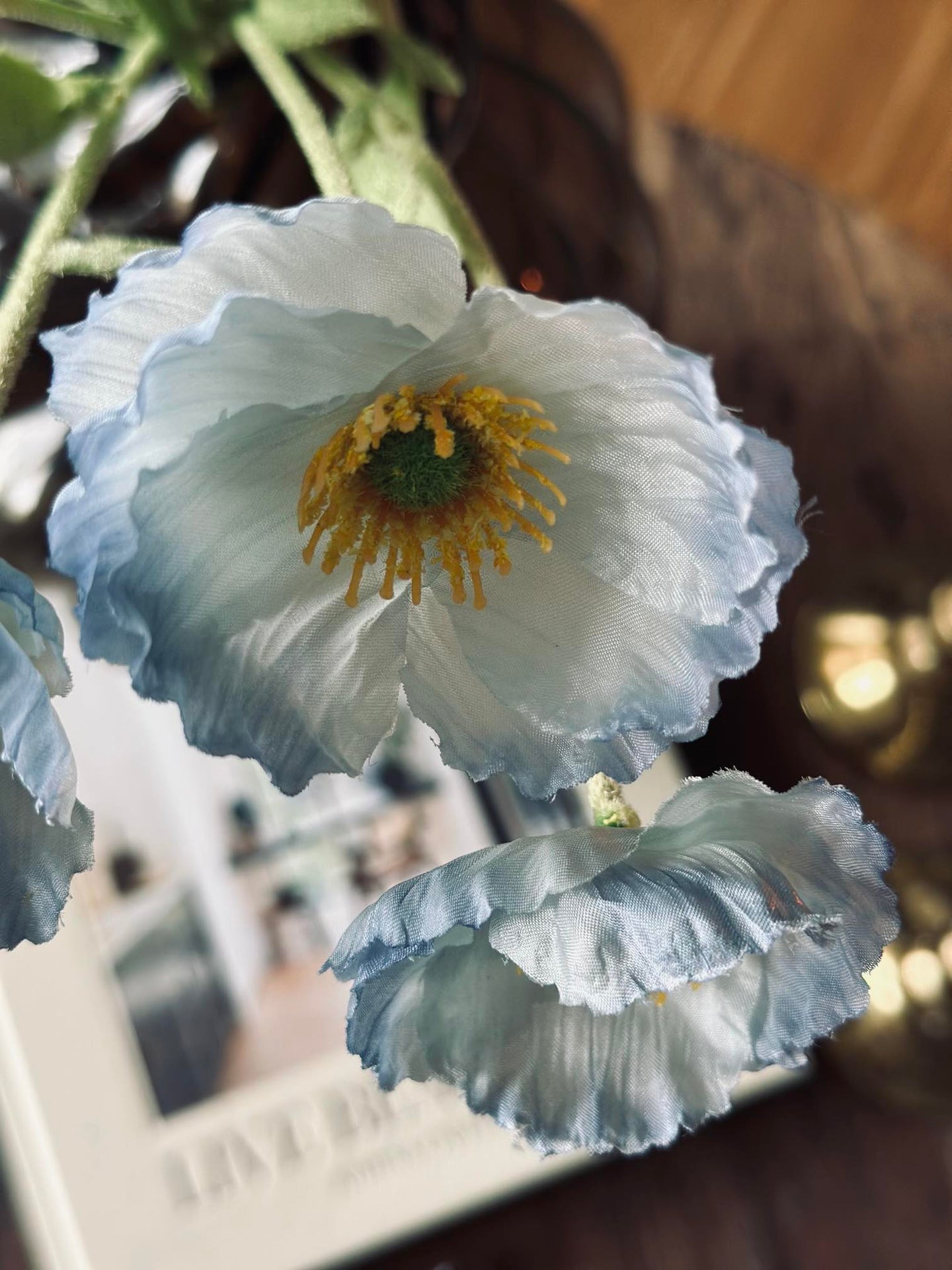 Strauß blaue Mohnblumen