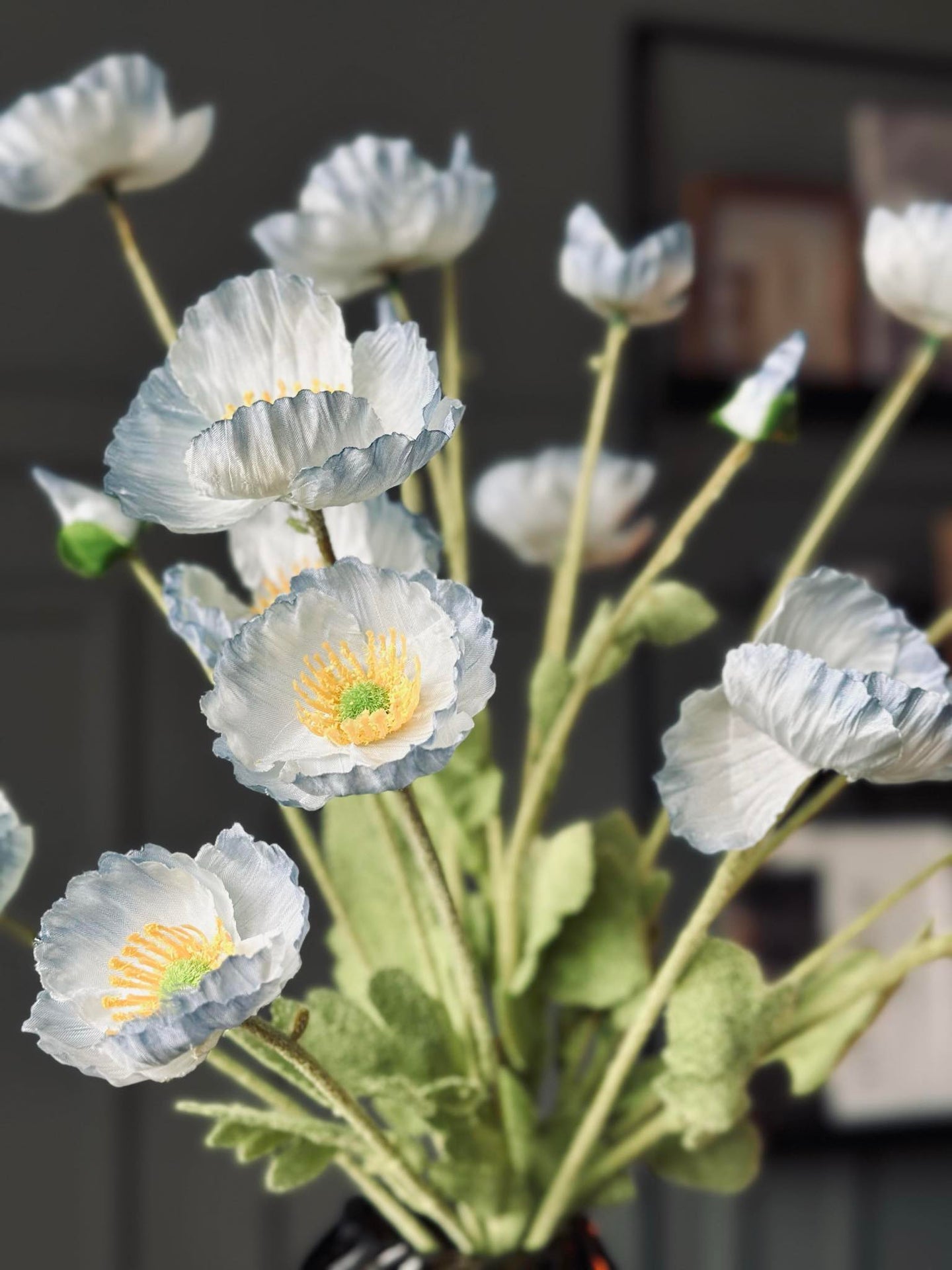 Strauß blaue Mohnblumen