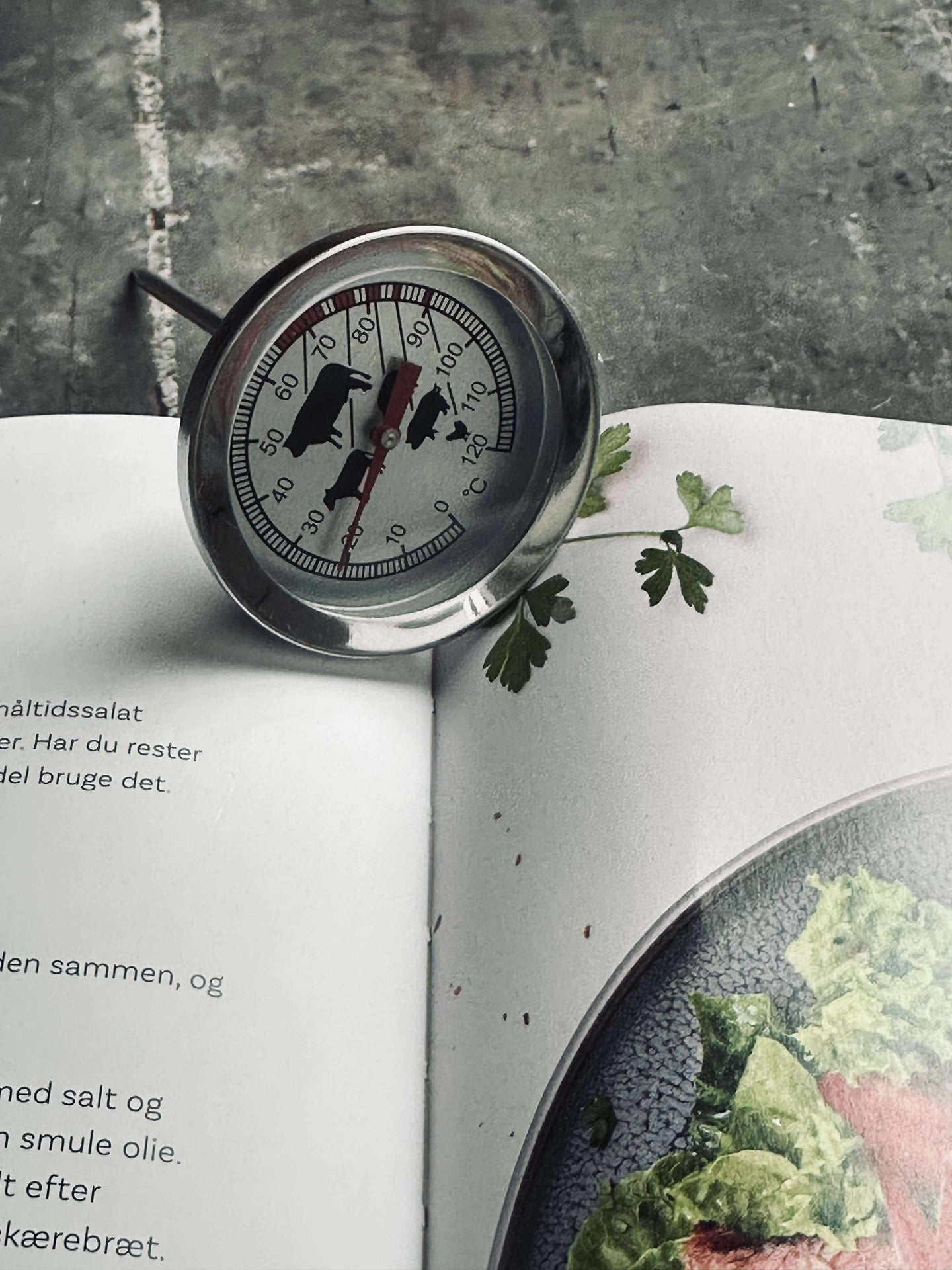Fleischthermometer