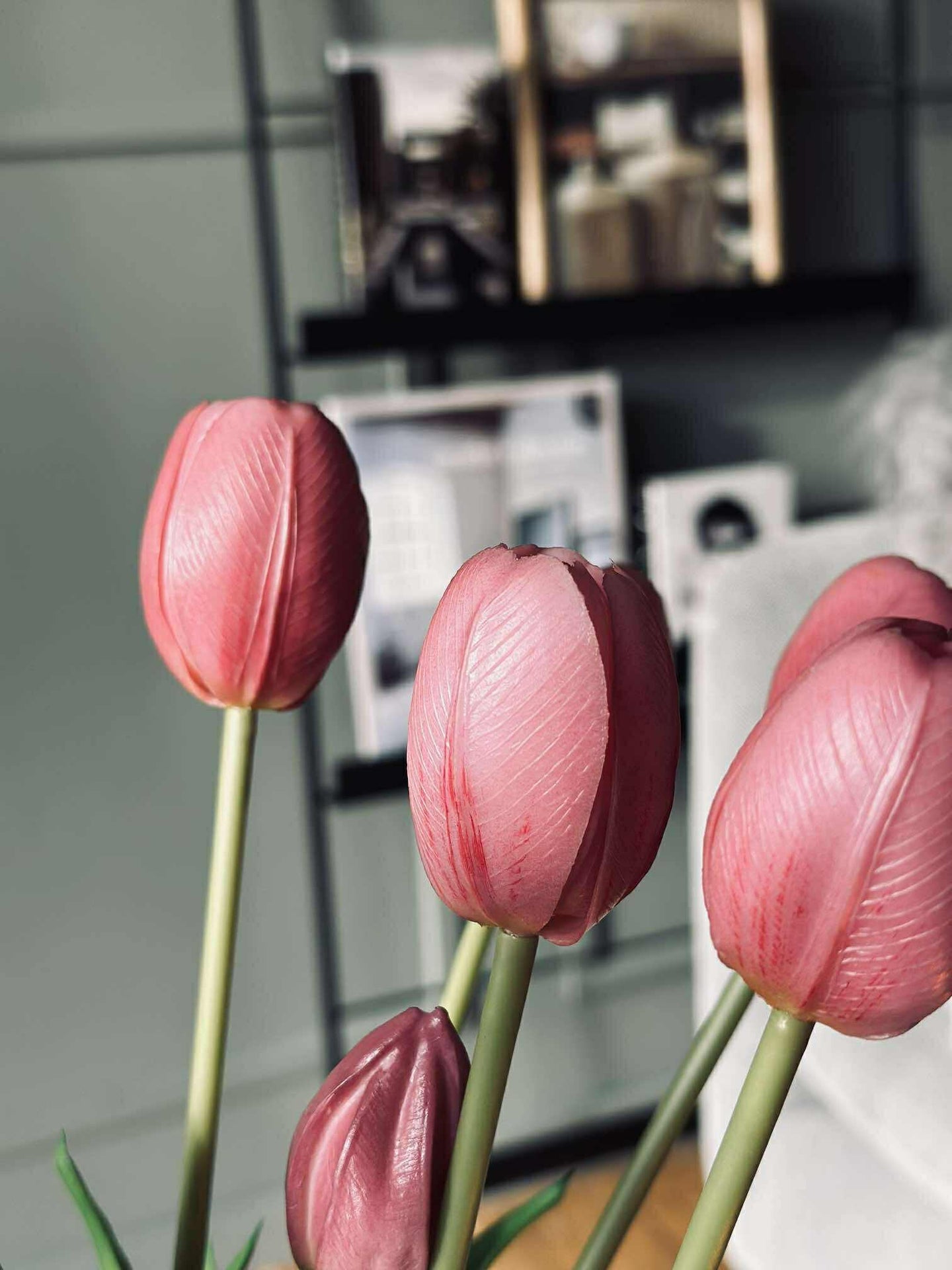 Tulpen – Mehrere Farben