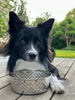 Hundenapf rostfreier Stahl - Groß