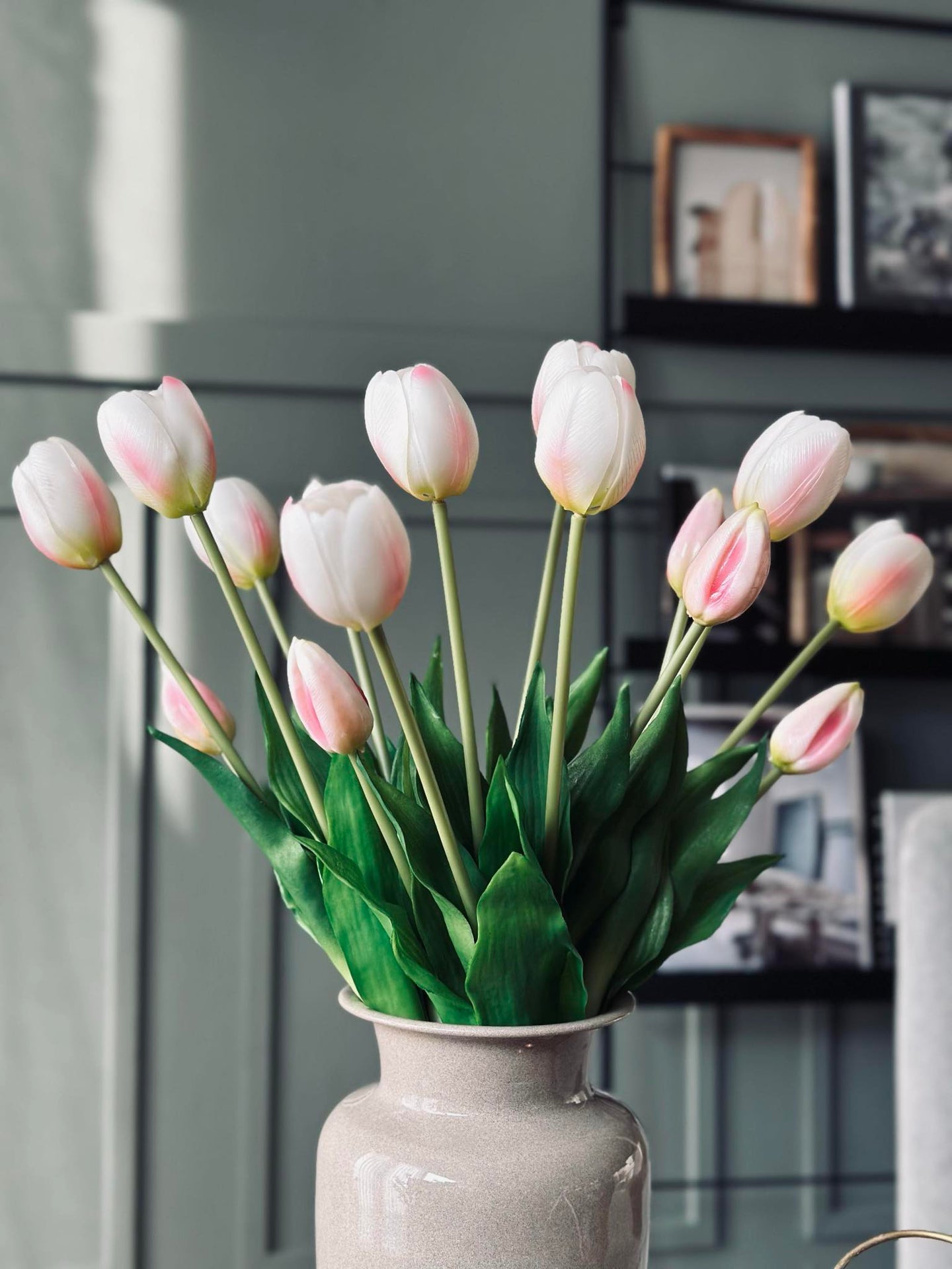 Tulpen – Mehrere Farben