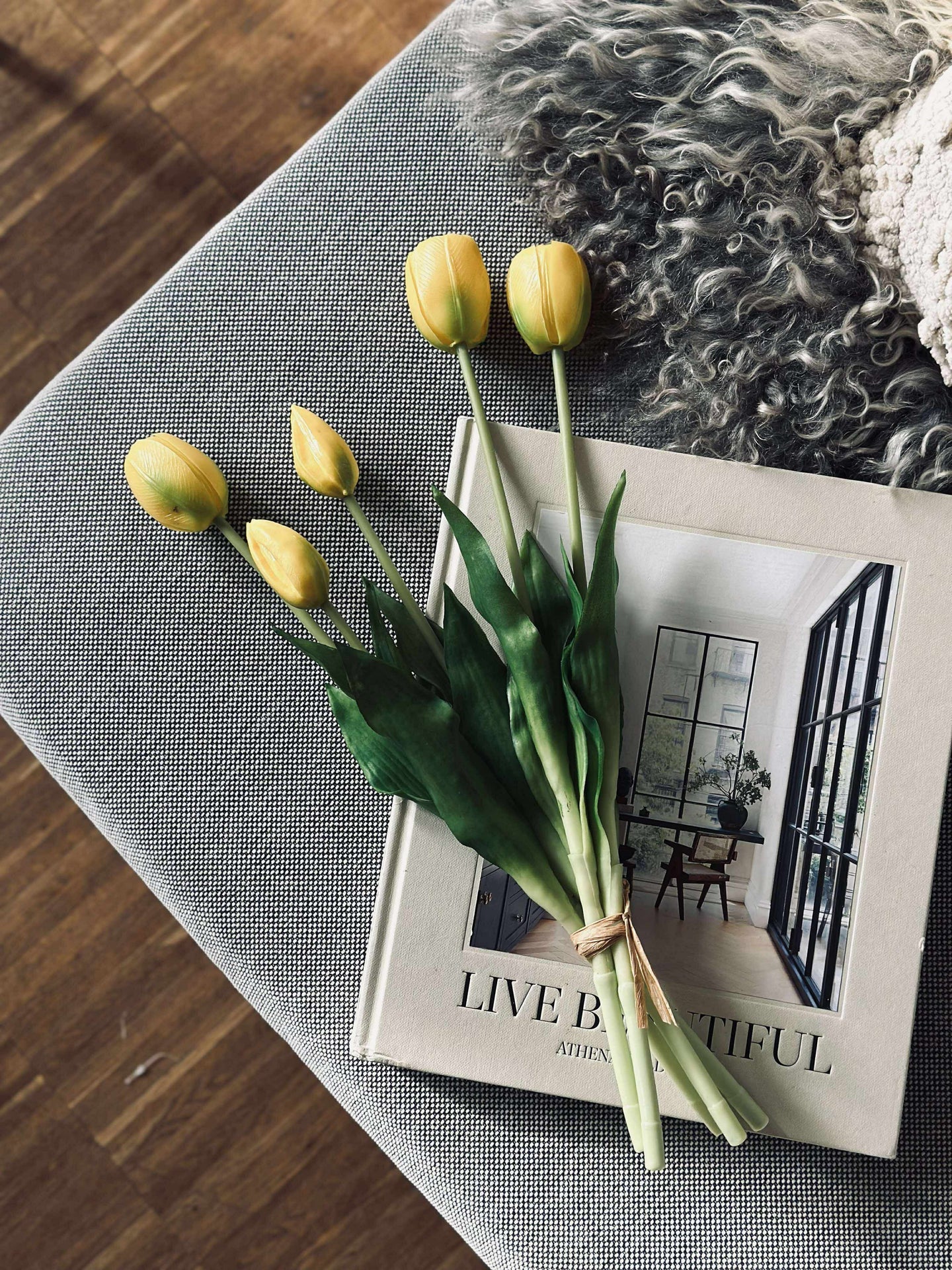 Tulpen – Mehrere Farben