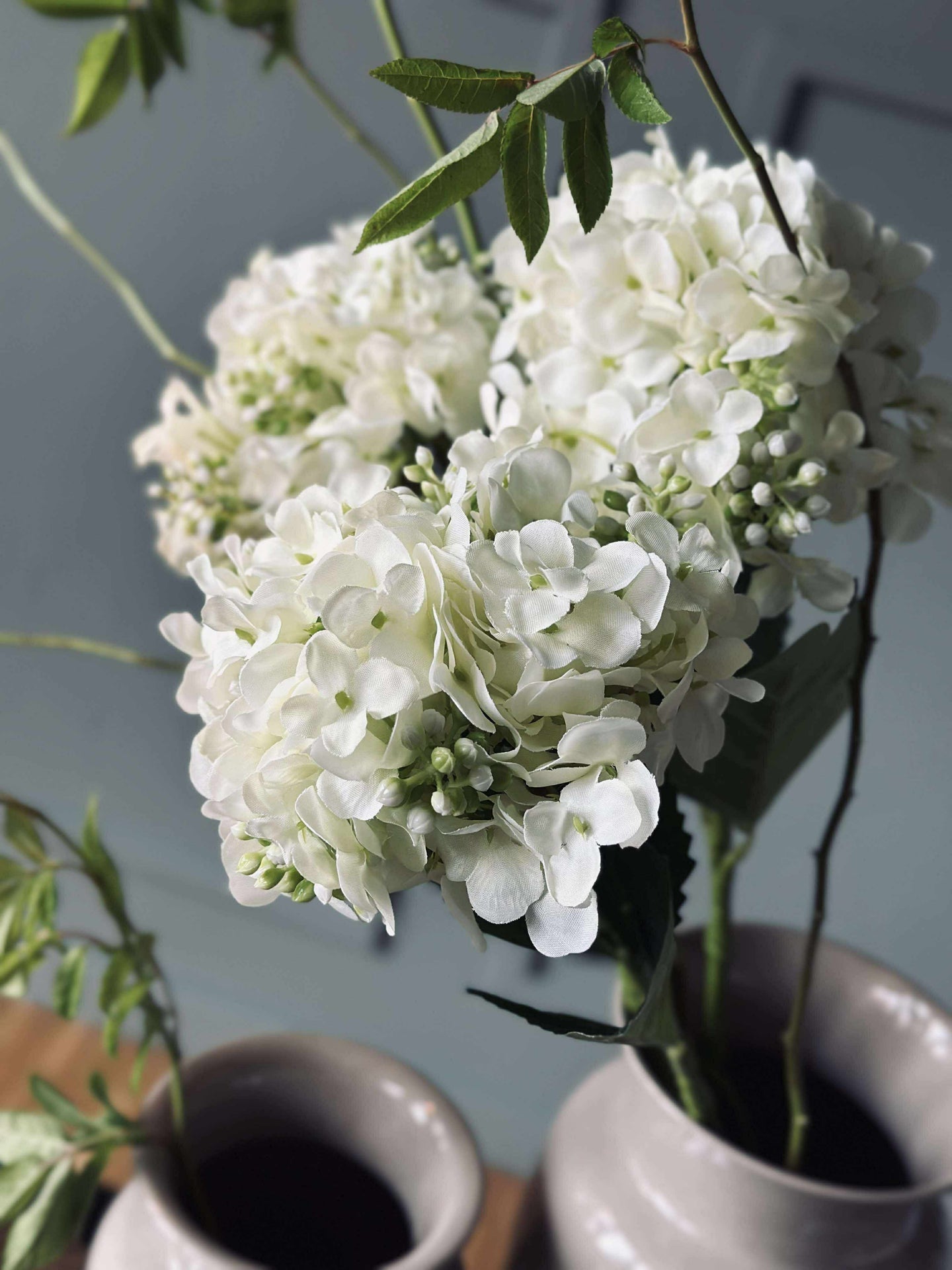 Hortensie Weiß