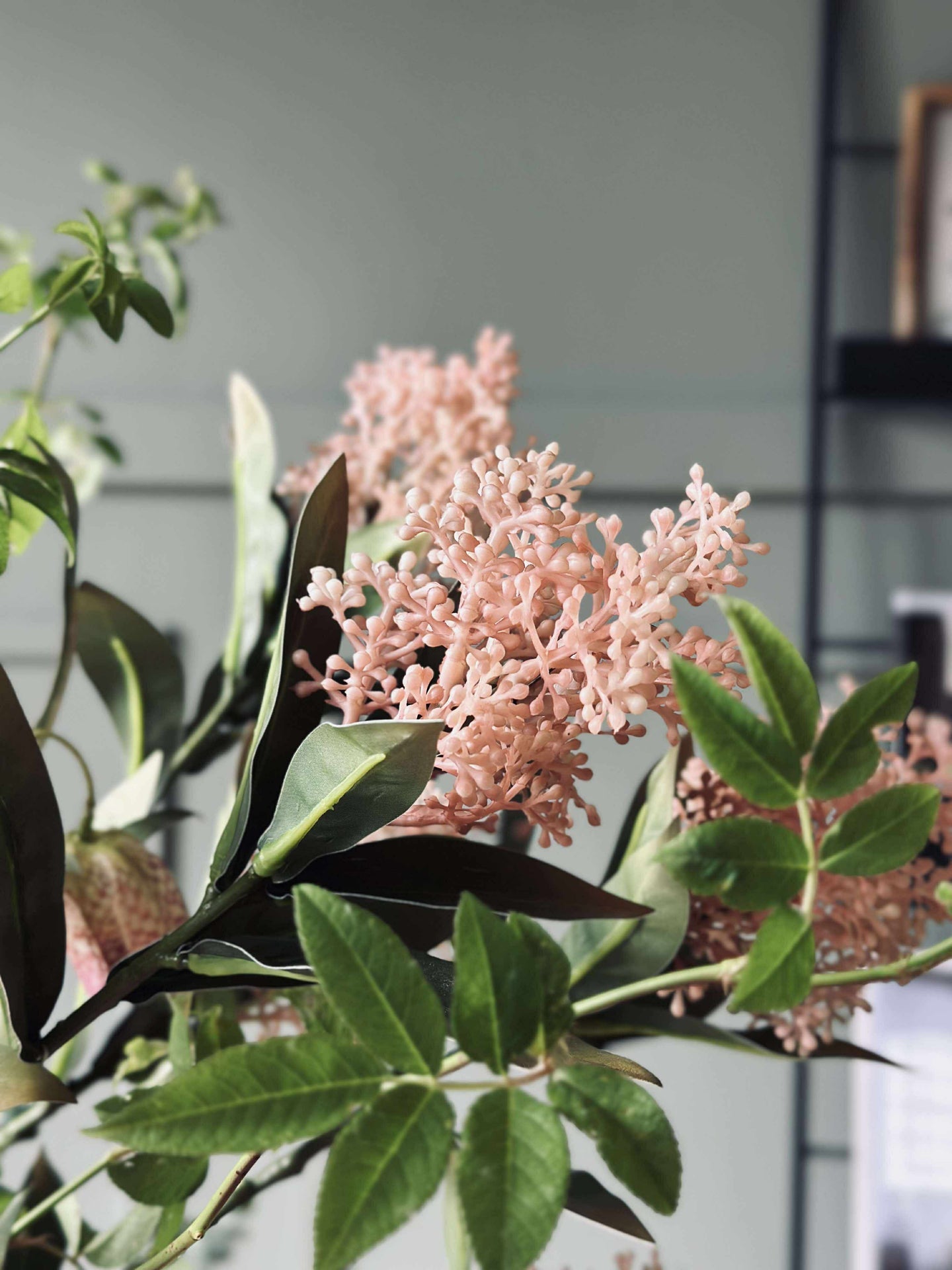 Blütenstiel - Skimmia MIX