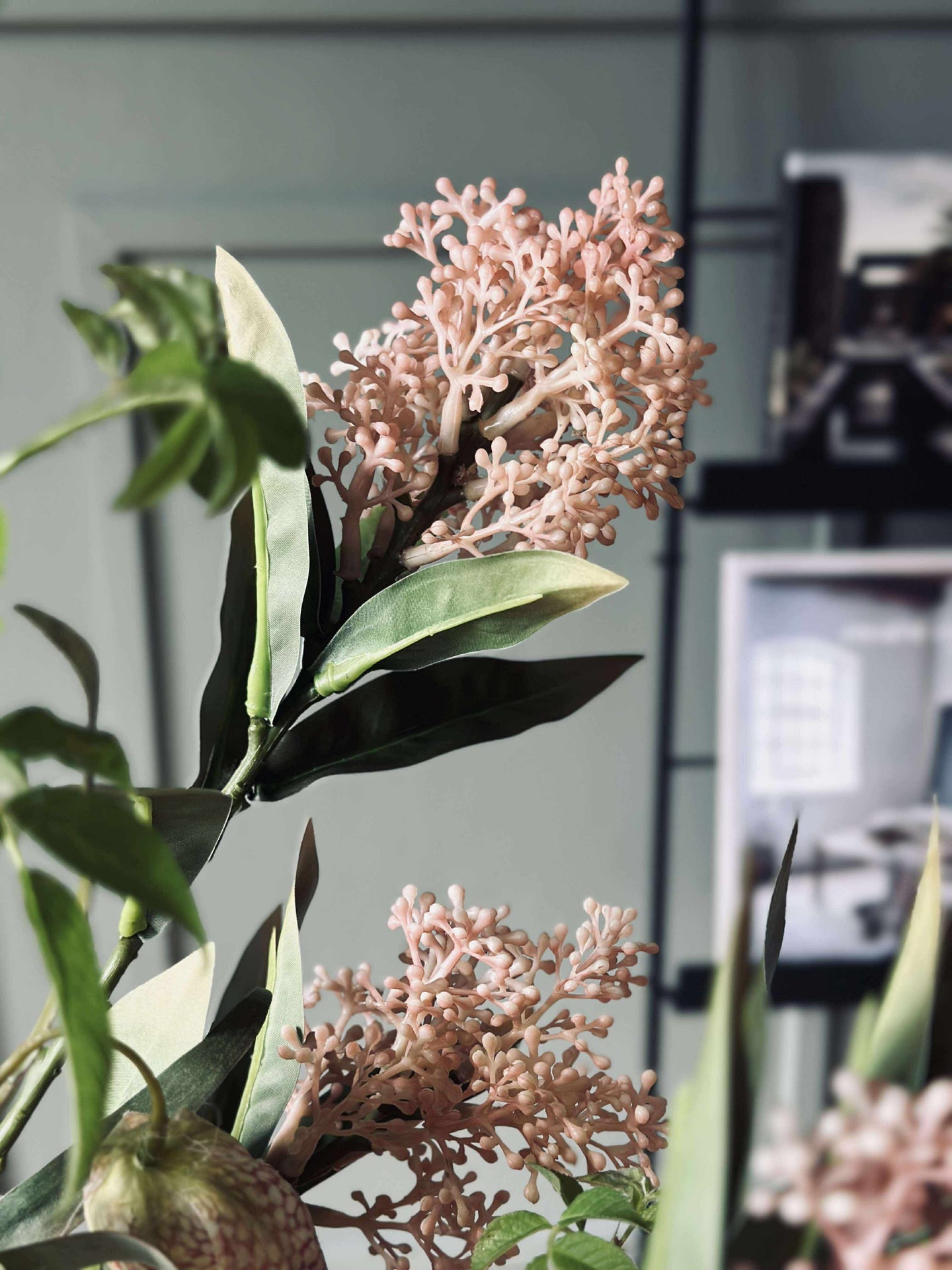 Blütenstiel - Skimmia MIX