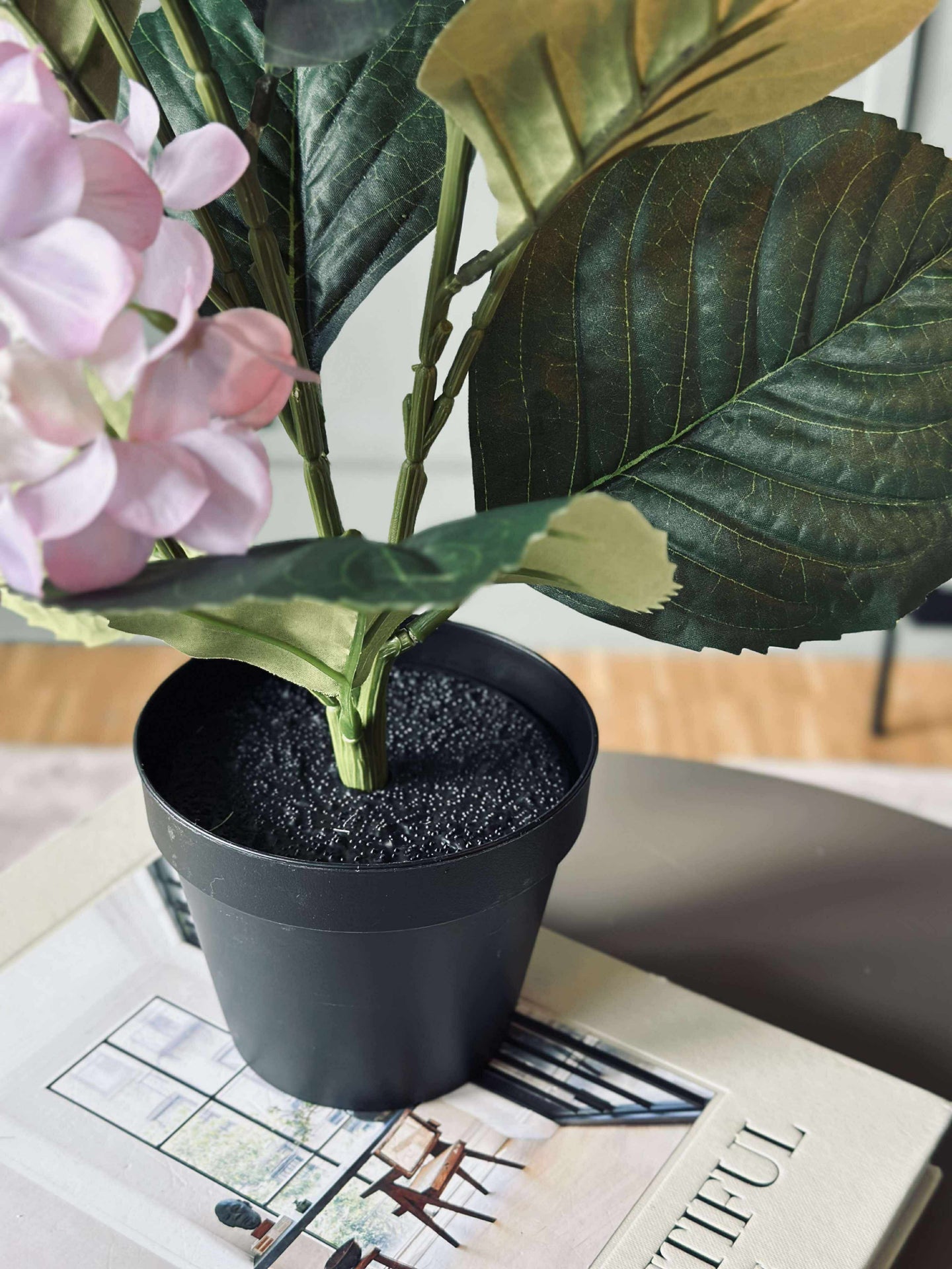 Hortensie i potte - Flieder