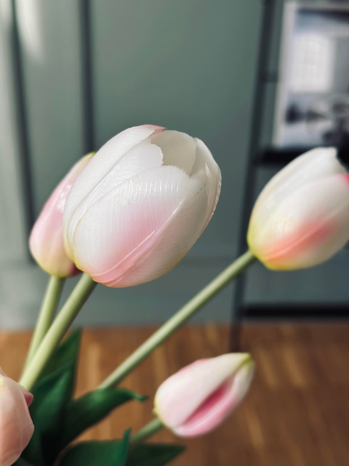 Tulpen – Mehrere Farben