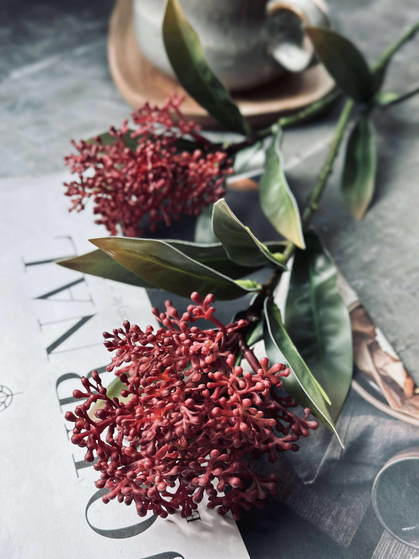 Blütenstiel - Skimmia MIX