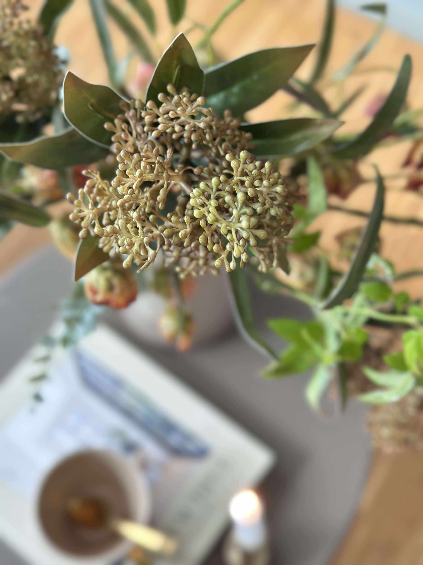 Blütenstiel - Skimmia MIX