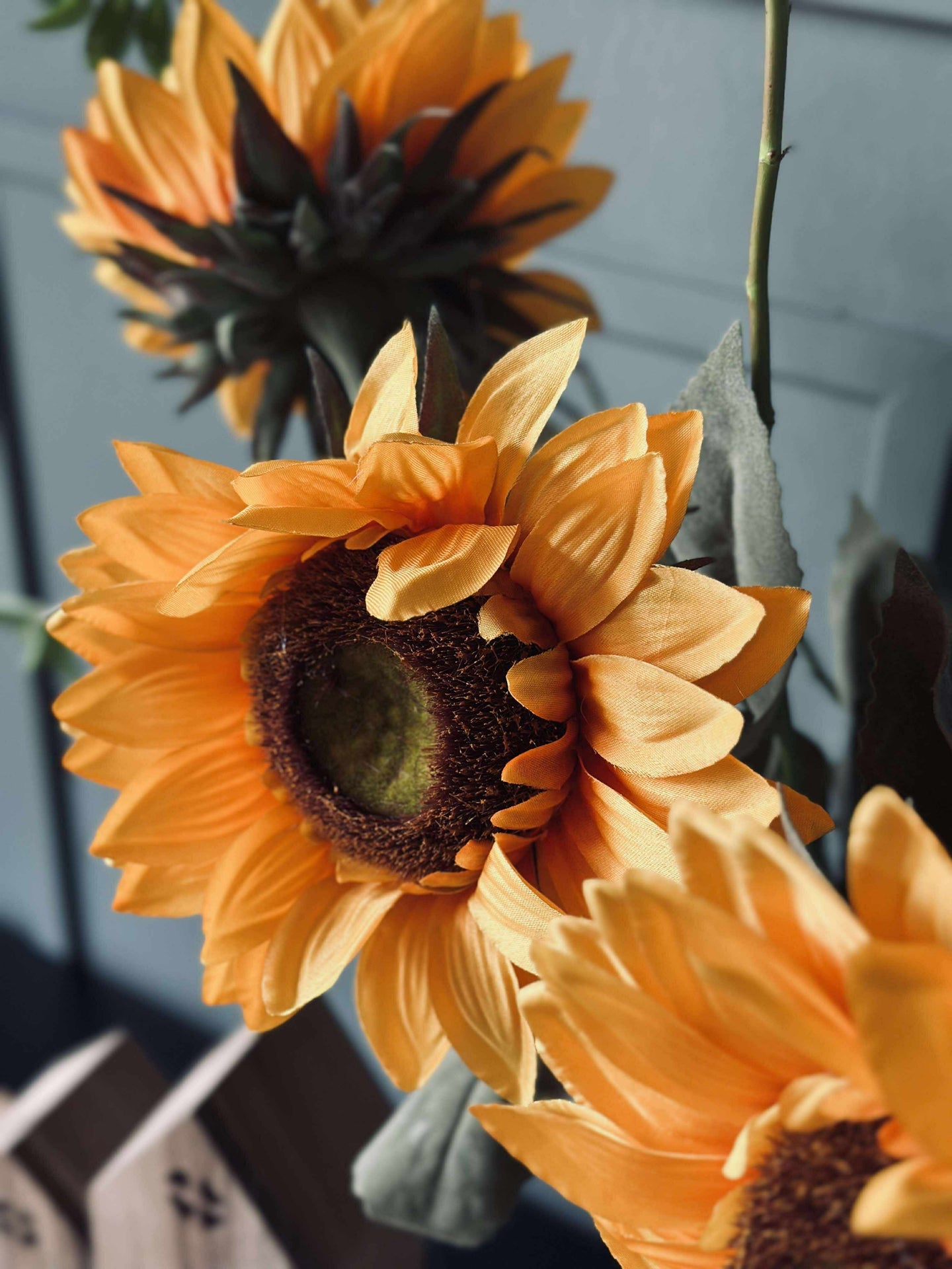 Sonnenblume