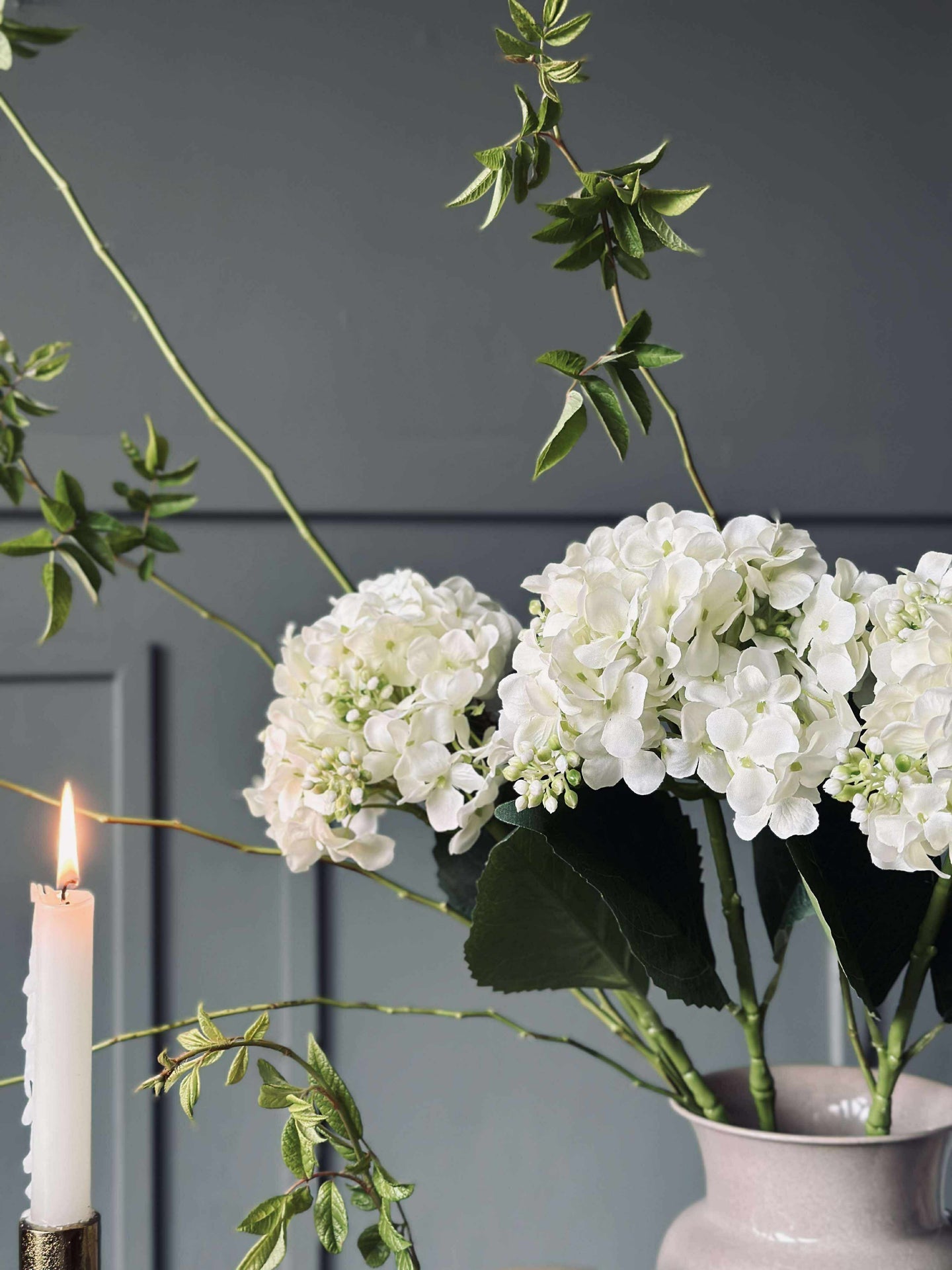 Hortensie Weiß