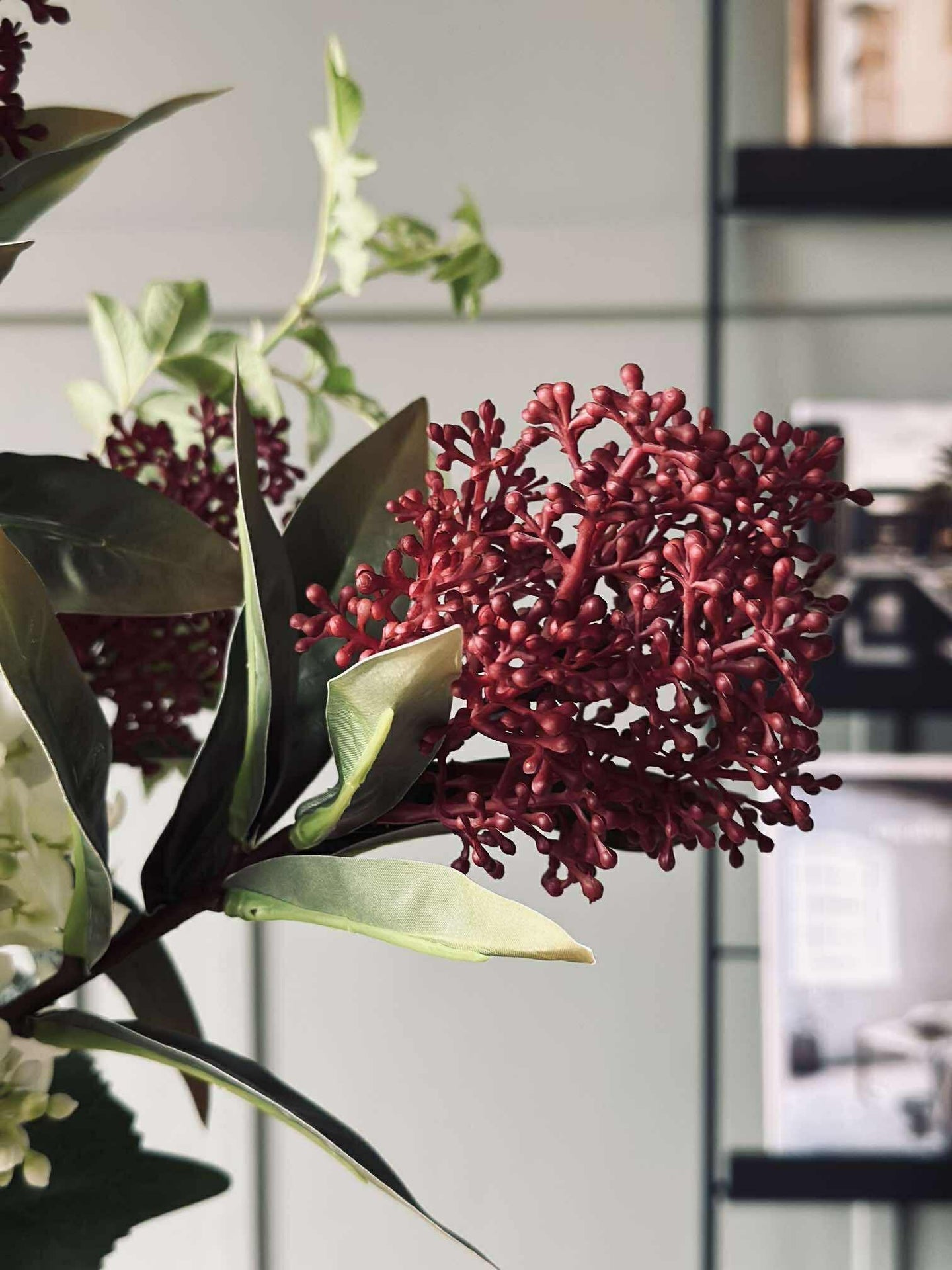Blütenstiel - Skimmia MIX