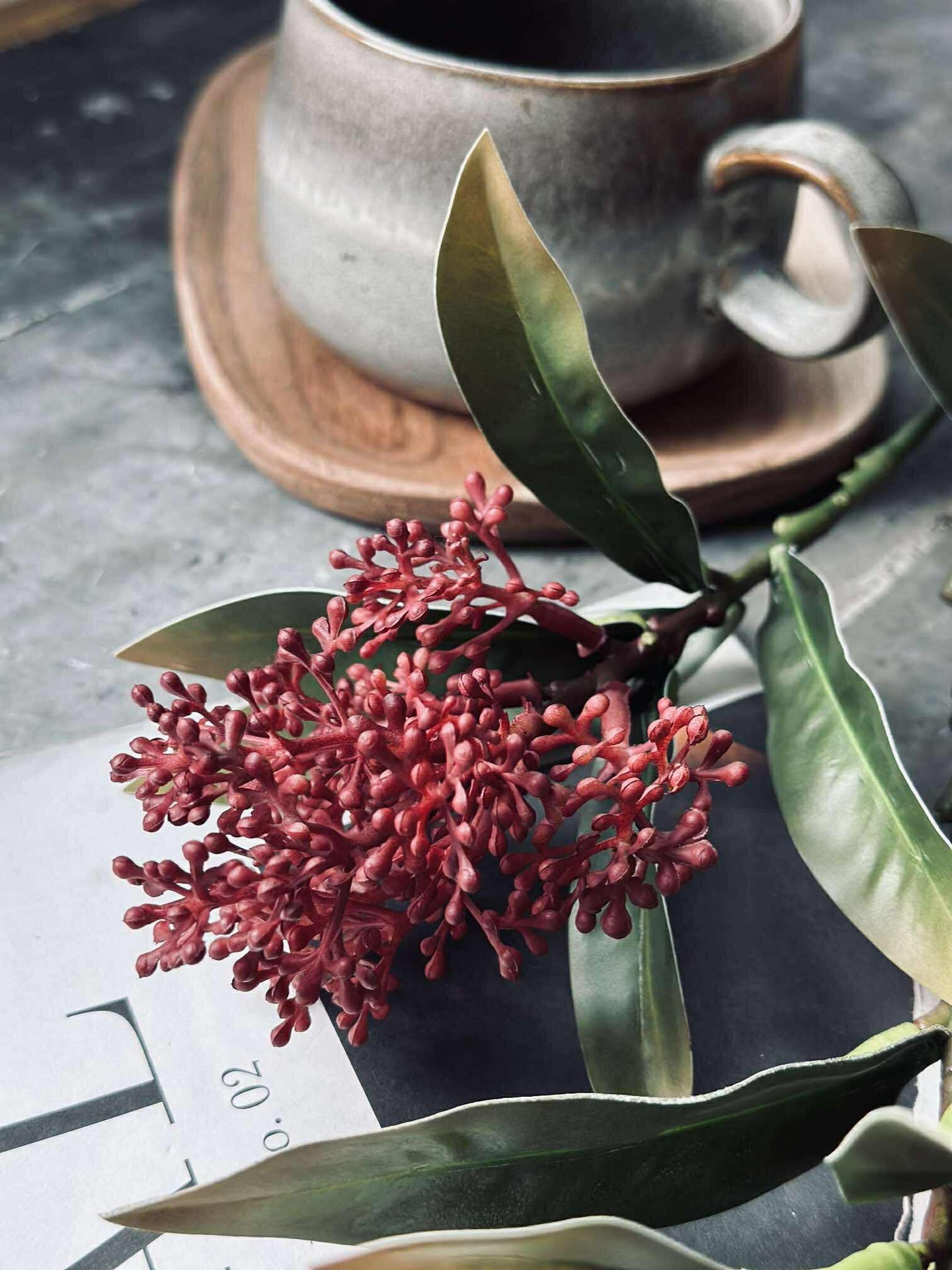 Blütenstiel - Skimmia MIX