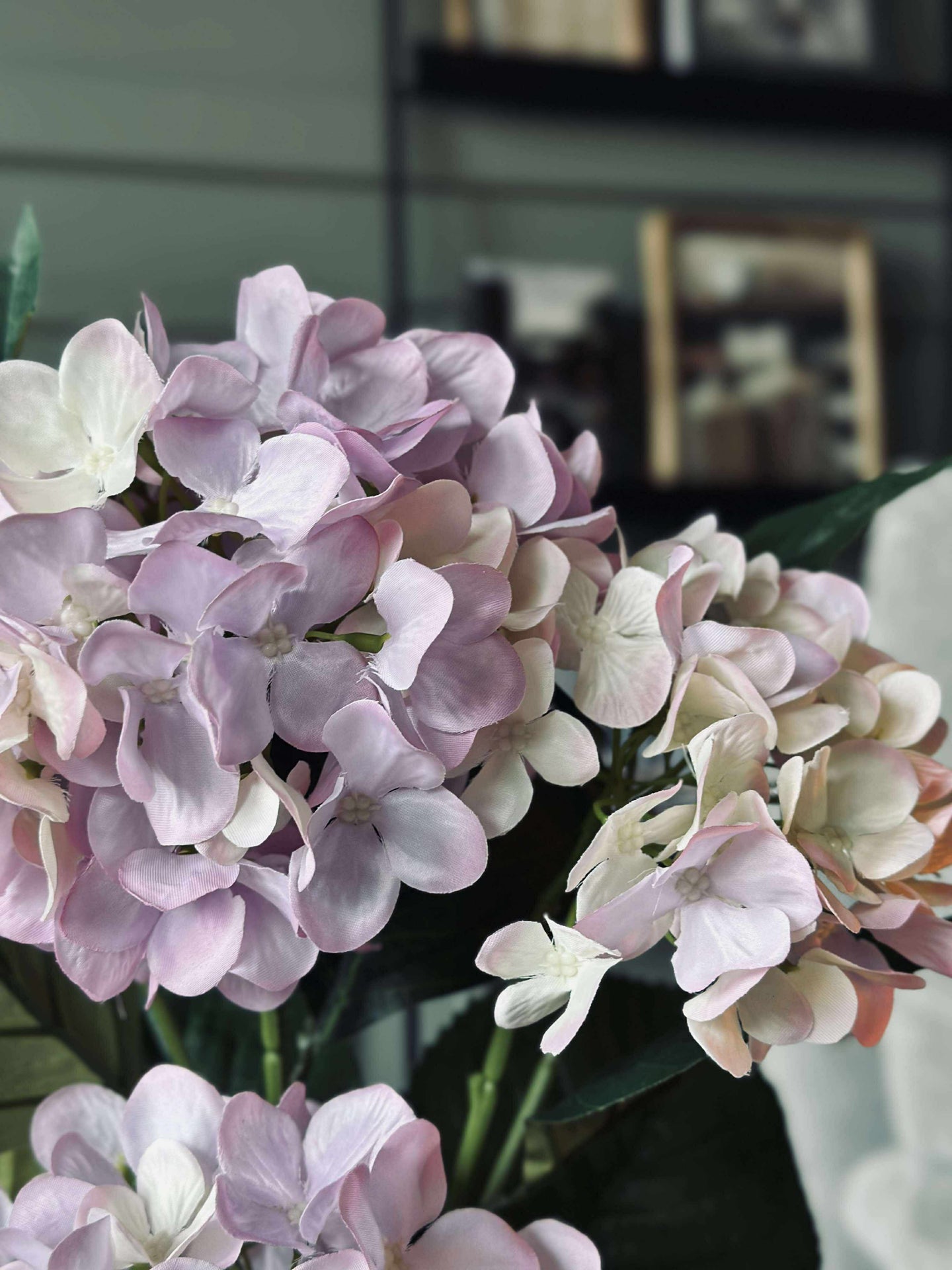 Hortensie i potte - Flieder