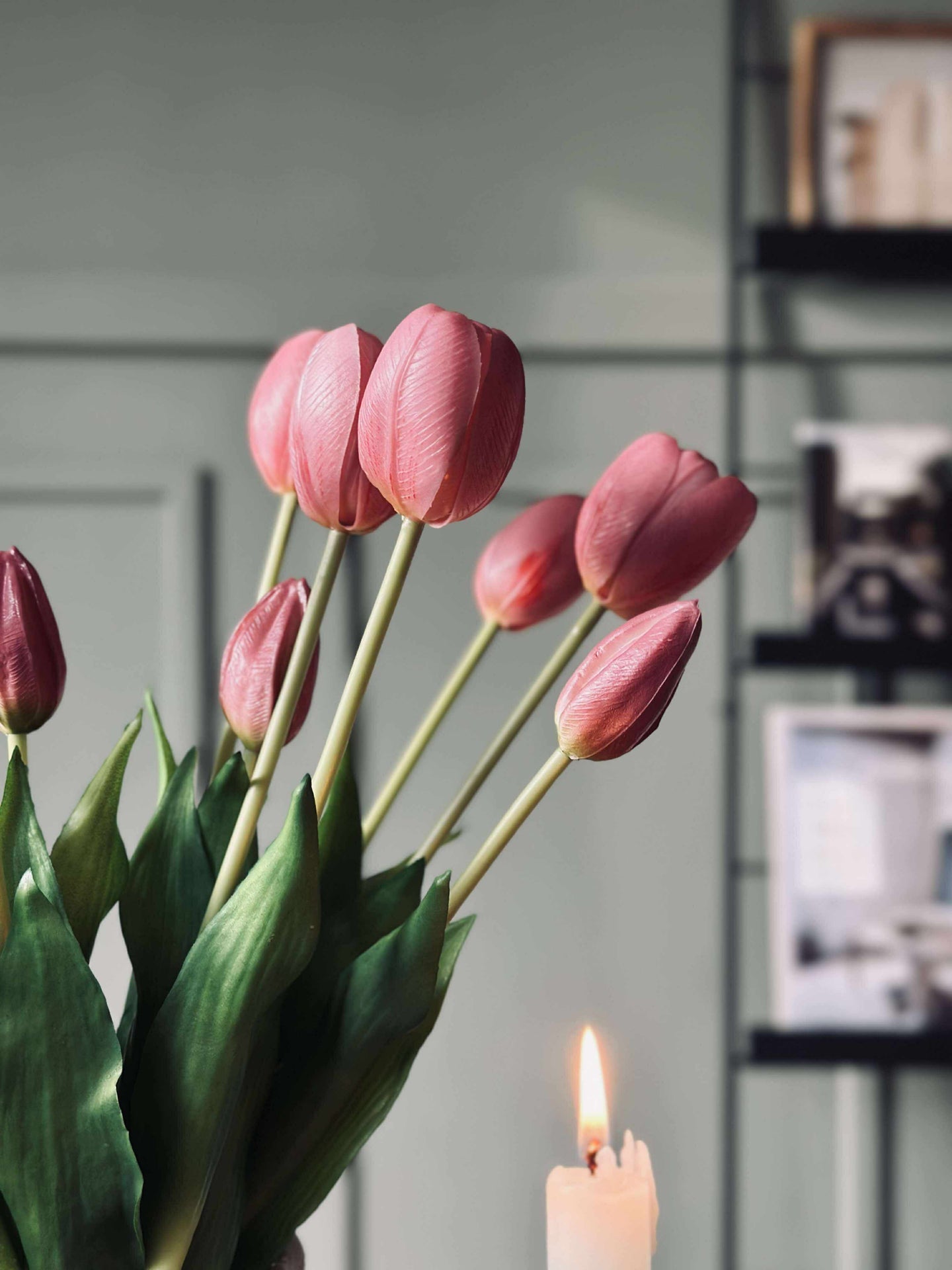 Tulpen – Mehrere Farben