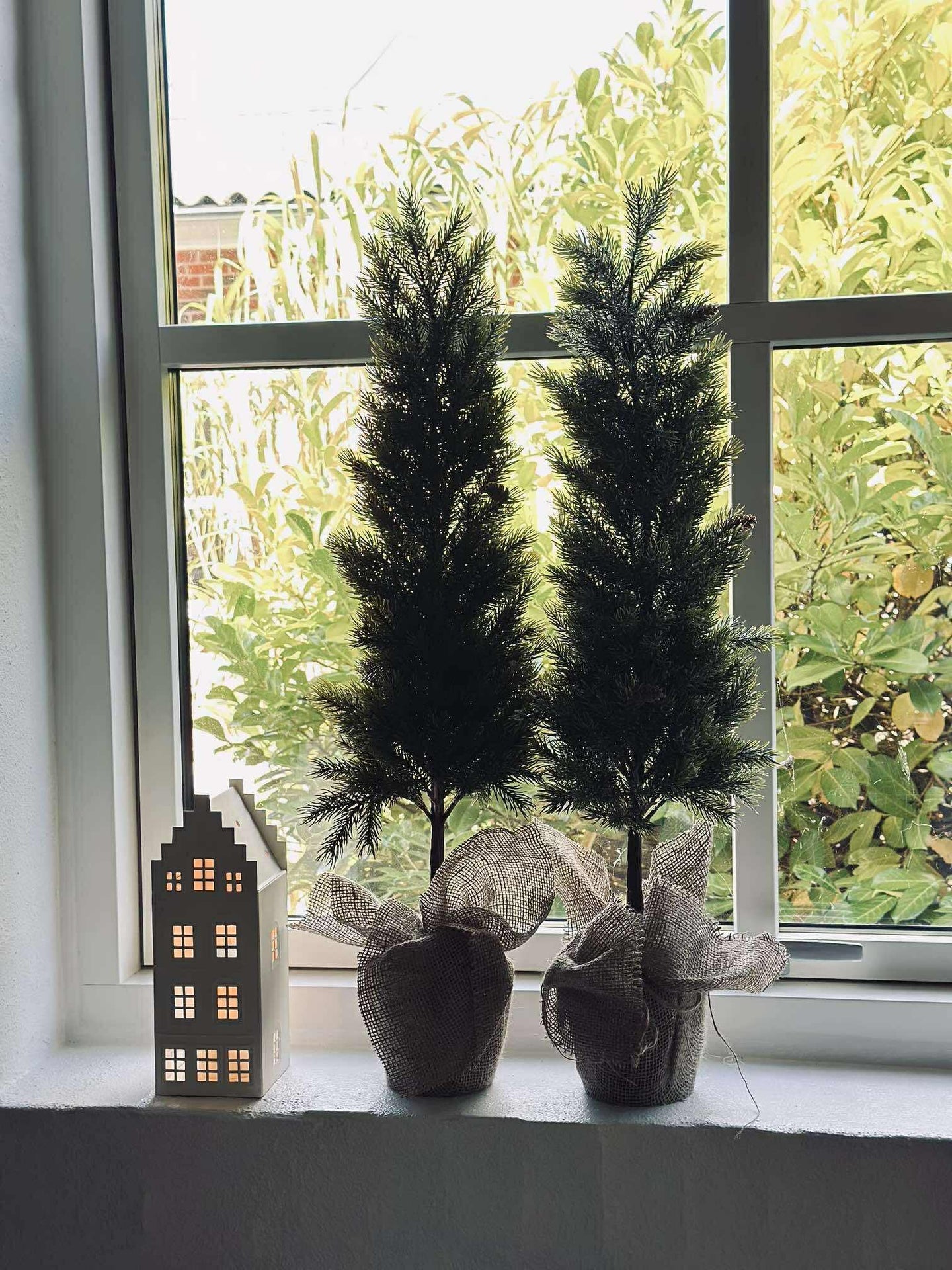 Pinetree MIX - 80 cm