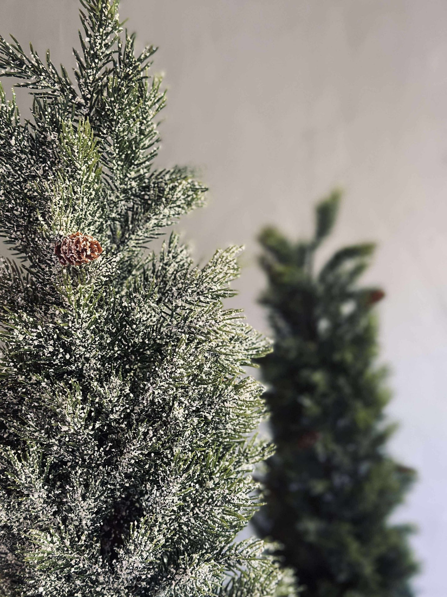 Pinetree MIX - 80 cm