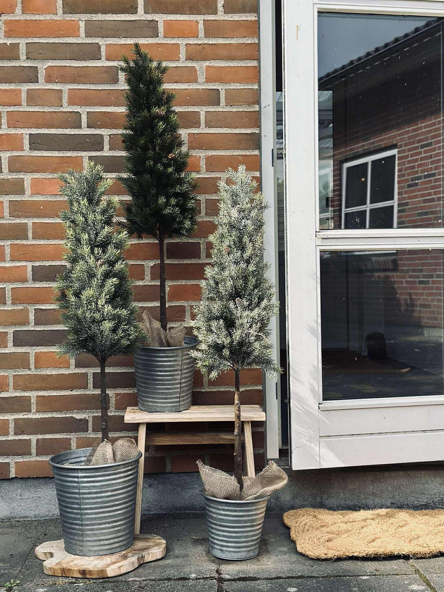 Pinetree MIX - 106 cm