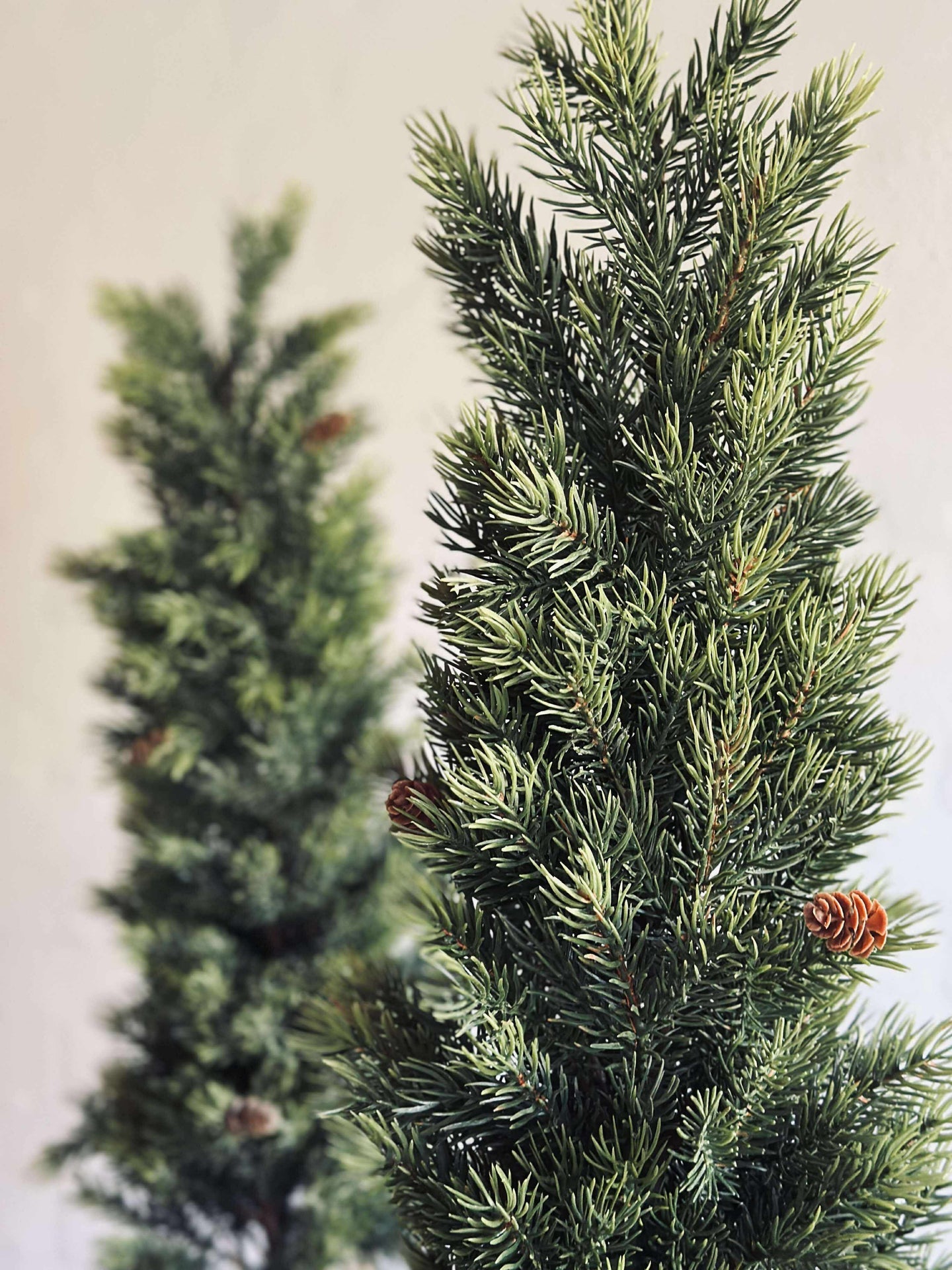 Pinetree MIX - 80 cm