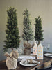 Pinetree MIX - 80 cm
