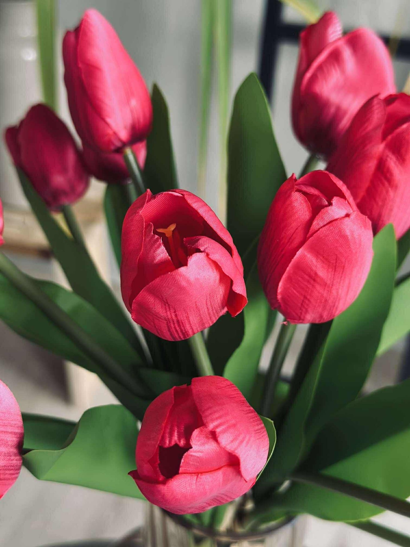 Tulpen Seidenoptik – Mehrere Farben
