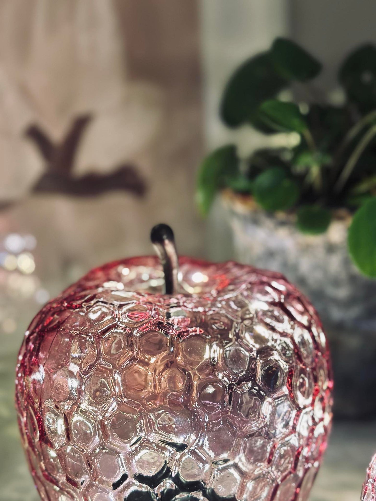 Apfel Pink - Large