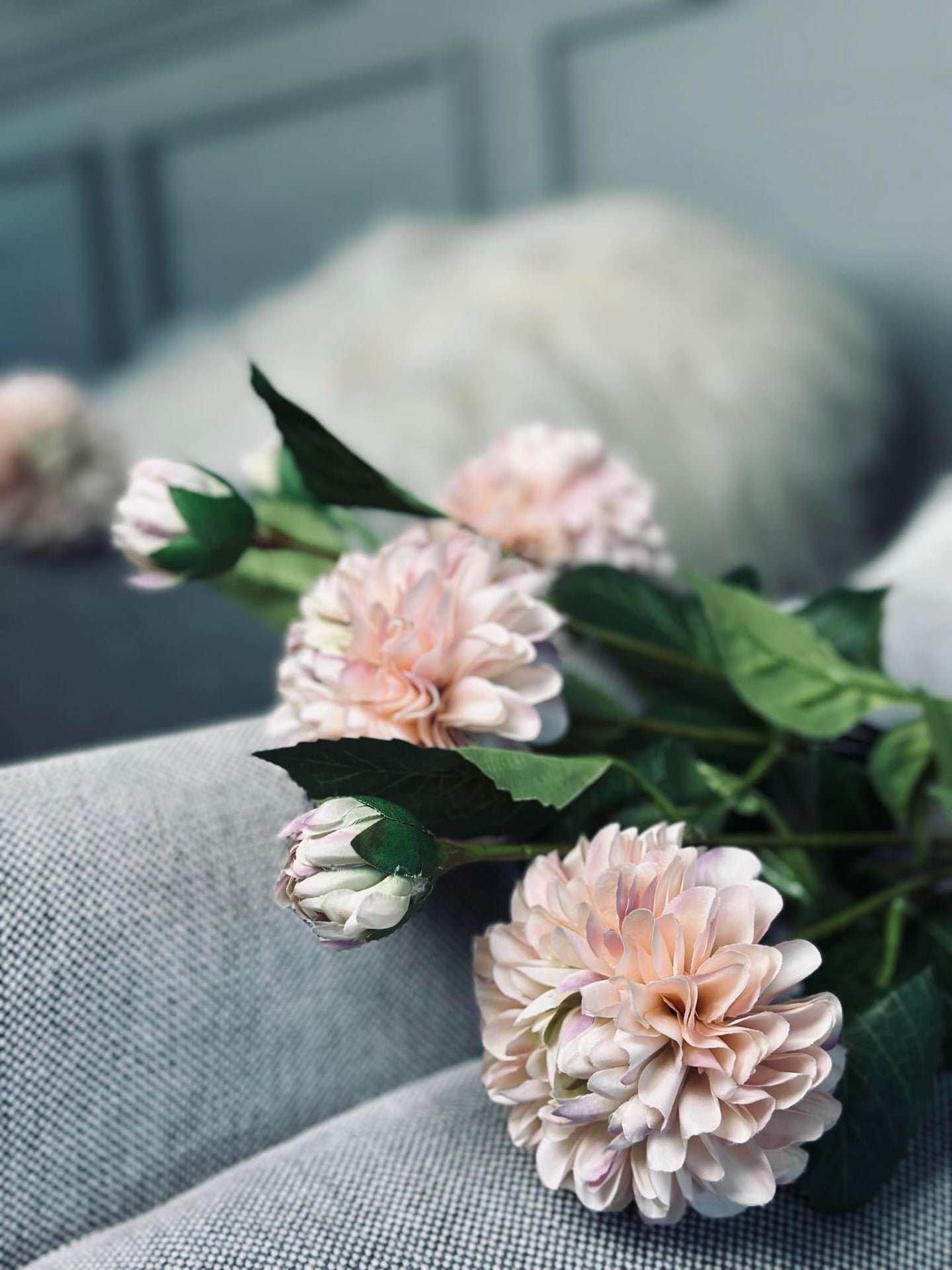 Blume Dahlie
