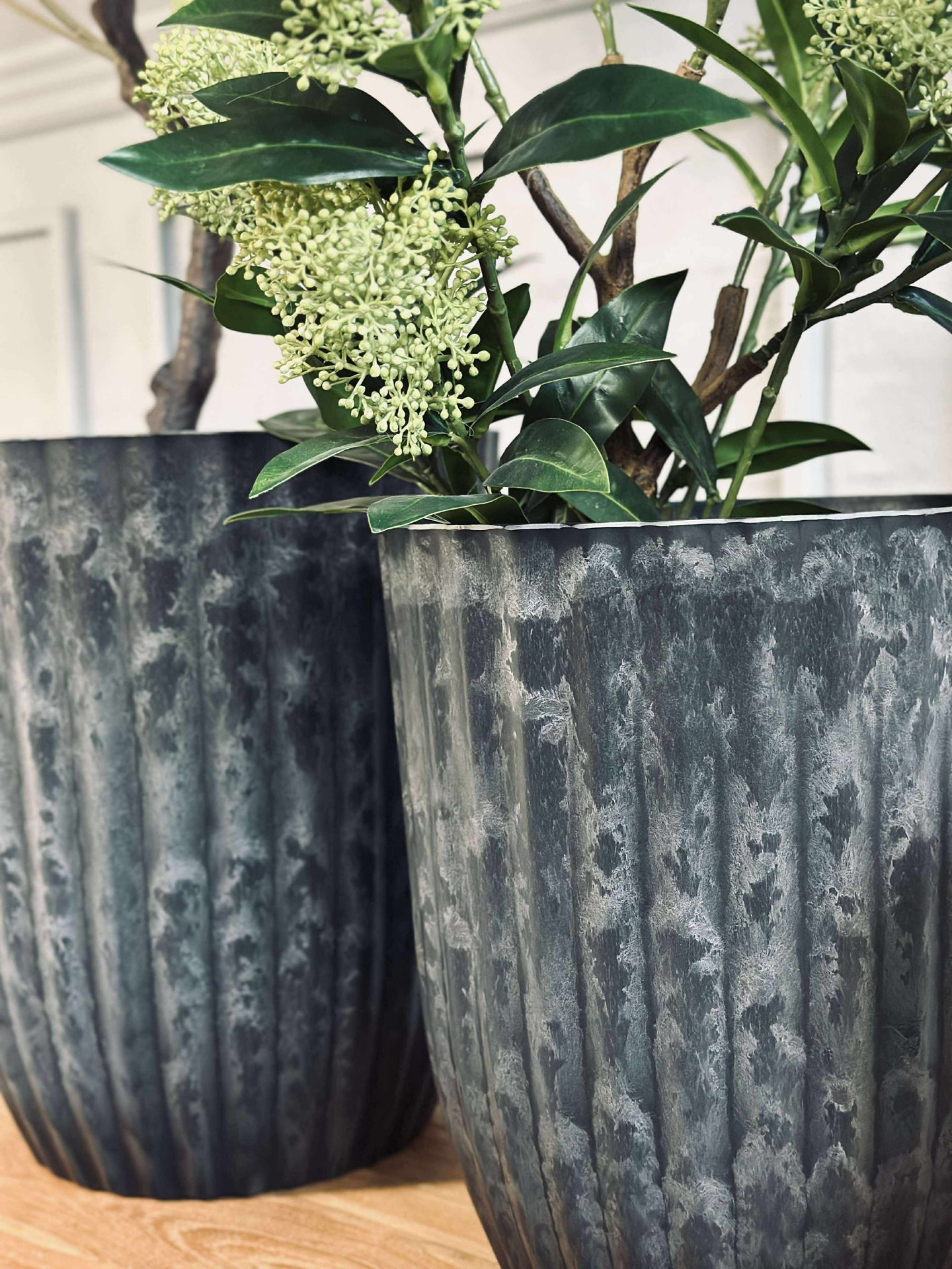 Kräutertöpfe im Beton-Look - Set mit 2 Stück