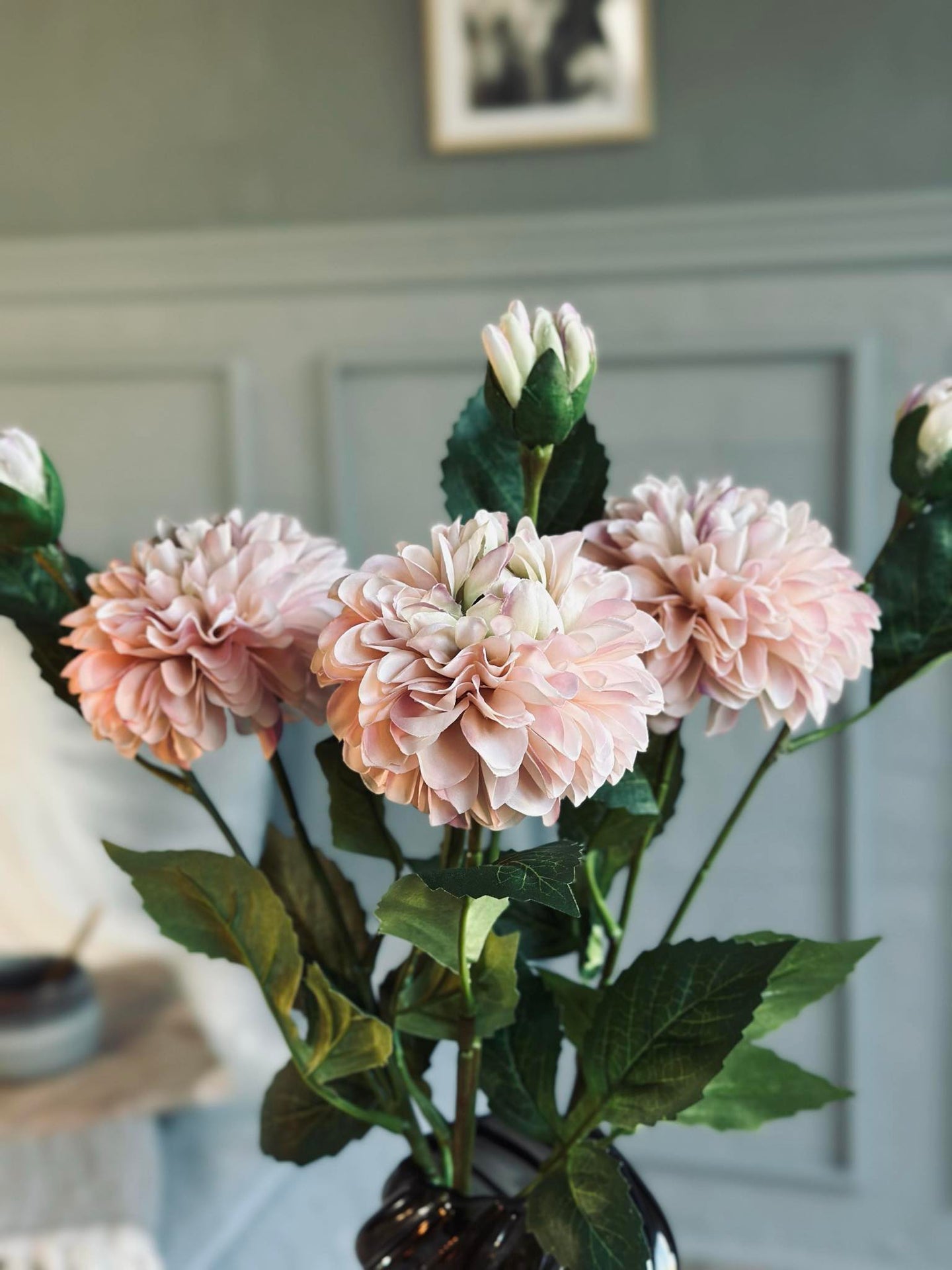 Blume Dahlie