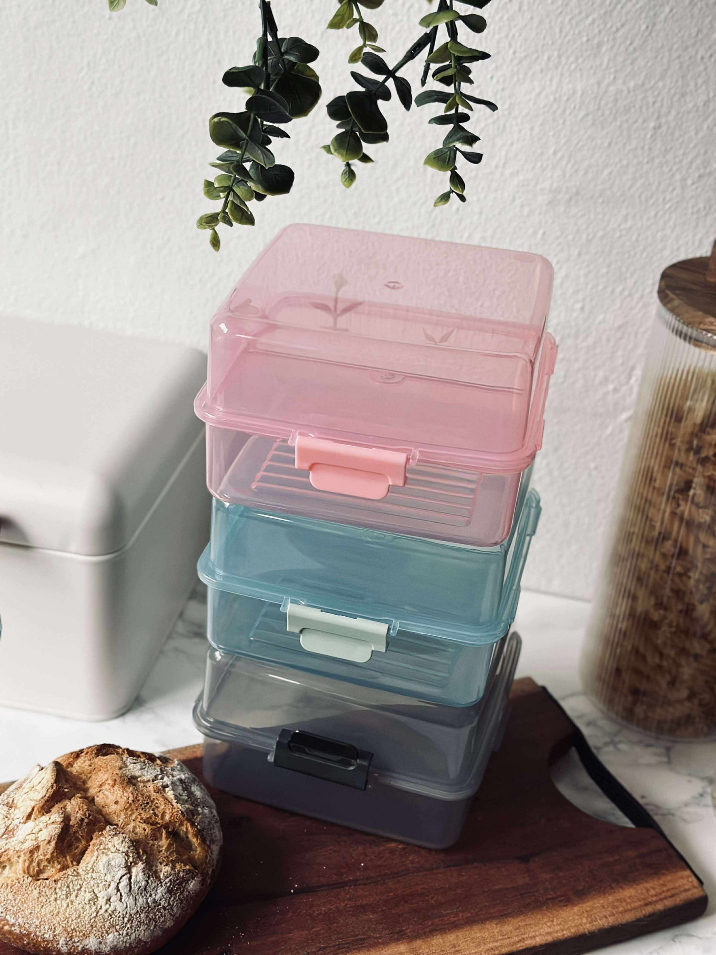 Lunchbox mit Fächern - Aqua