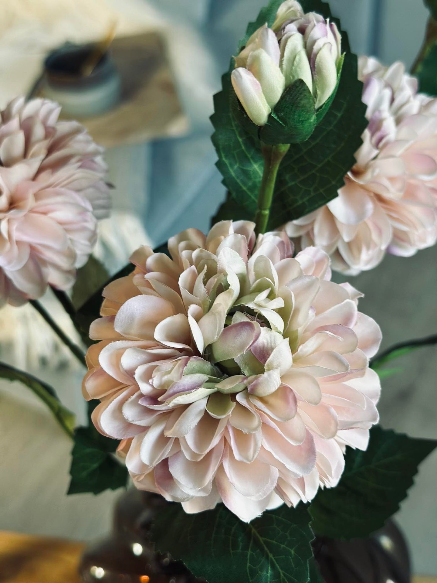 Blume Dahlie