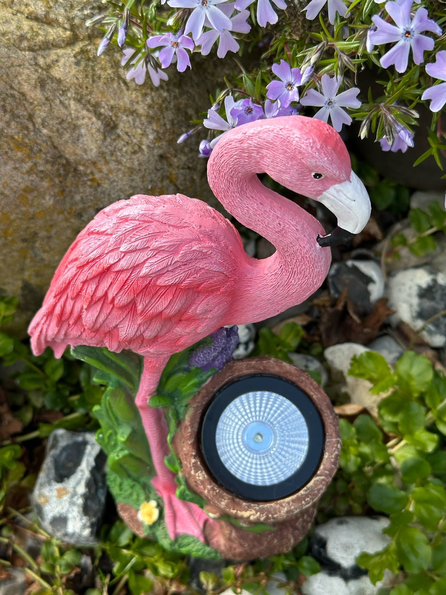 Flamingo mit Solar