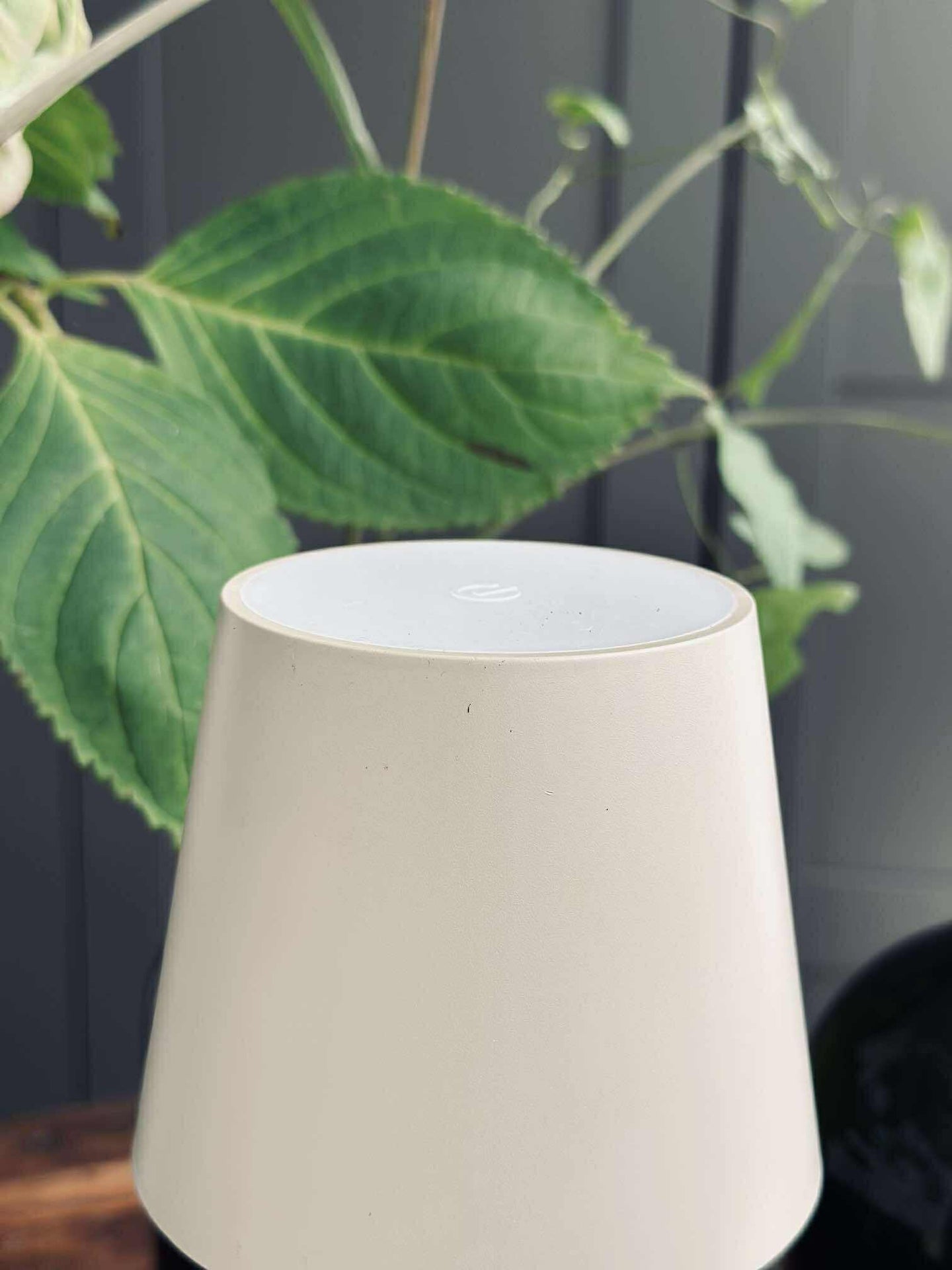 LED-Lampe für Weinflasche - Creme MIX