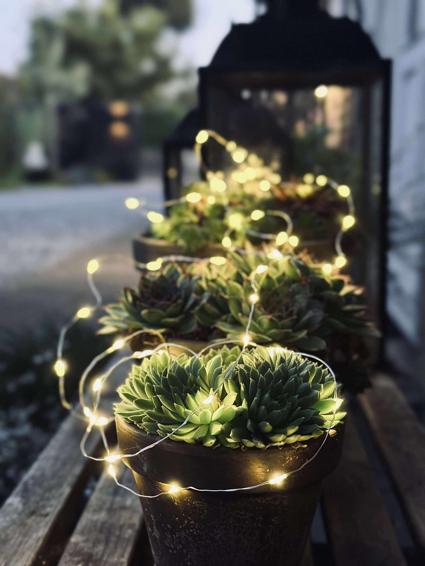 Lichterkette Marly mit Solar - 100 Lichter