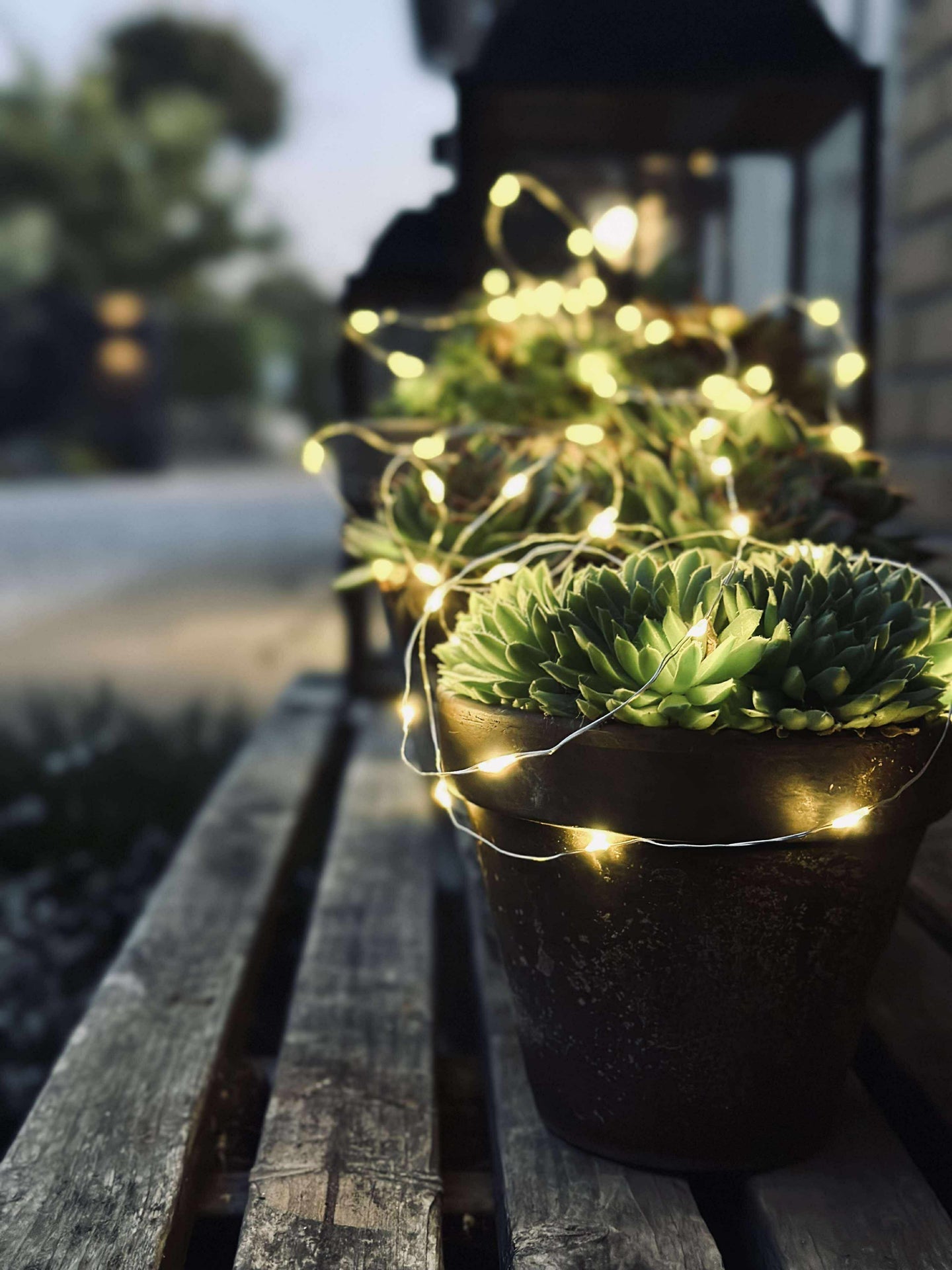 Lichterkette Marly mit Solar - 100 Lichter