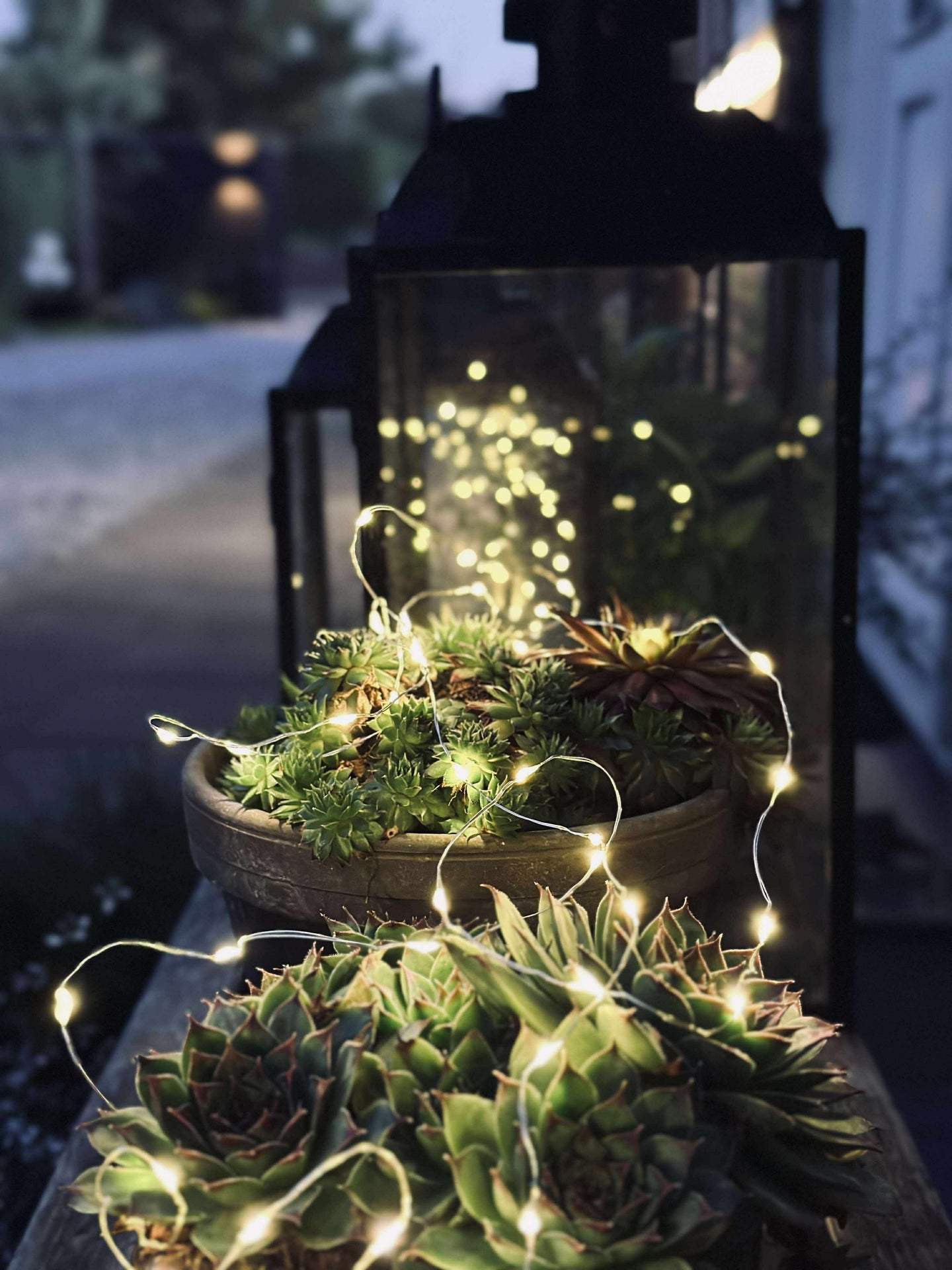 Lichterkette Marly mit Solar - 100 Lichter
