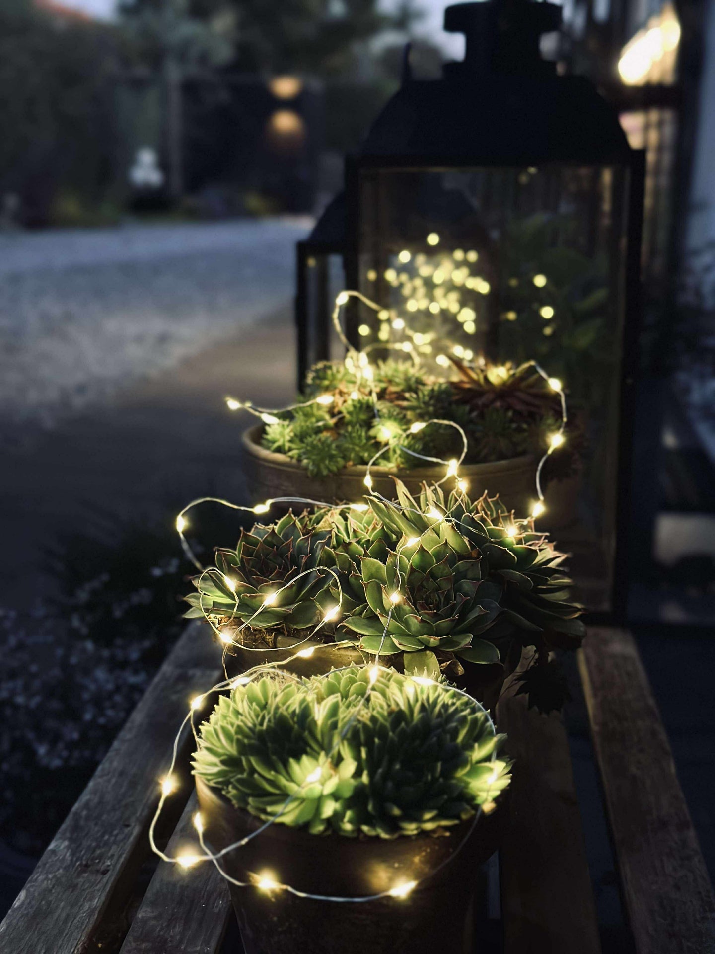 Lichterkette Marly mit Solar - 100 Lichter