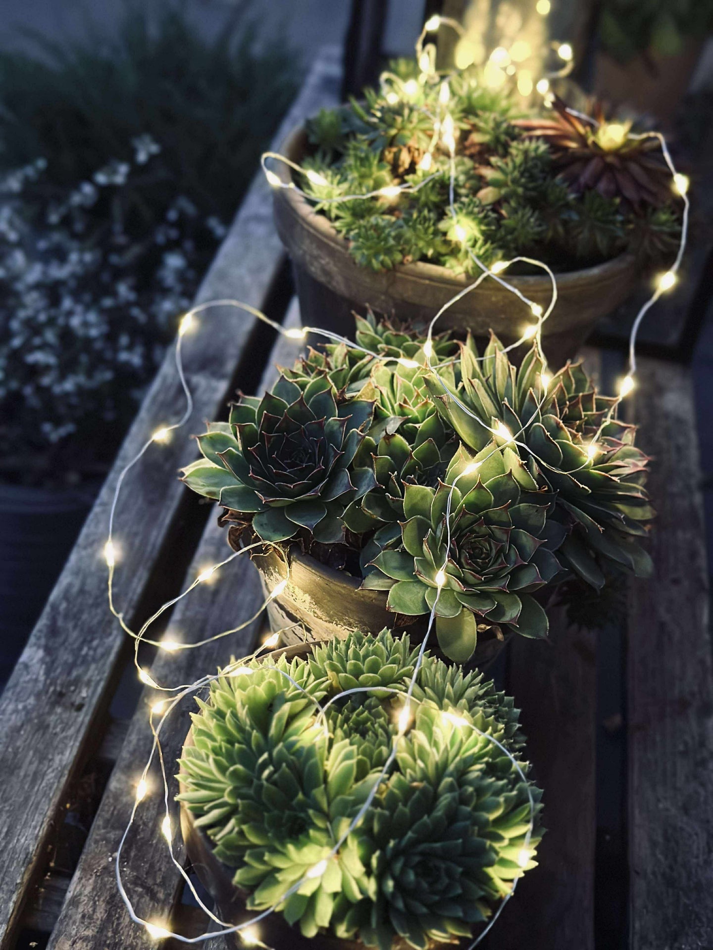 Lichterkette Marly mit Solar - 100 Lichter
