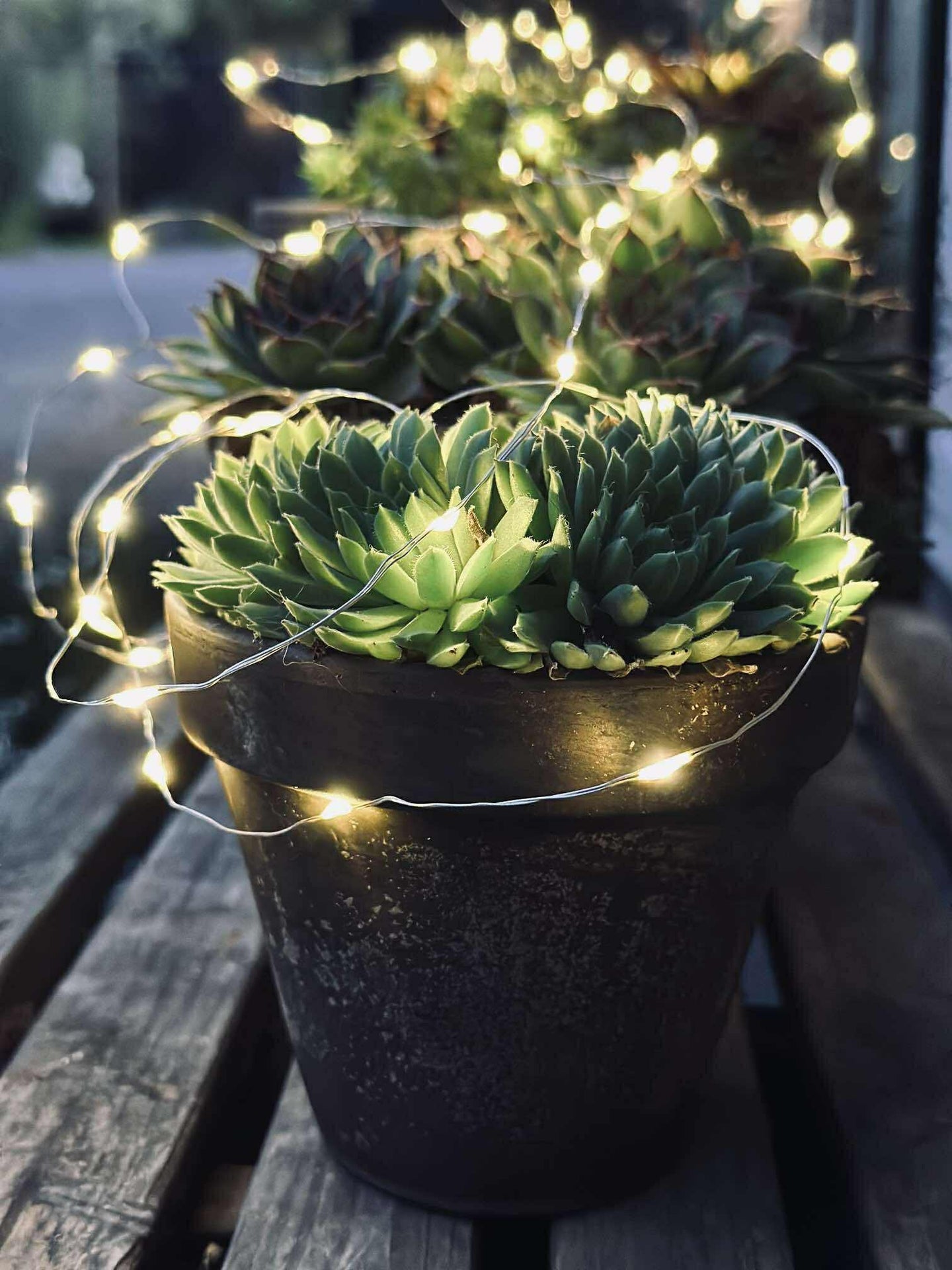 Lichterkette Marly mit Solar - 100 Lichter
