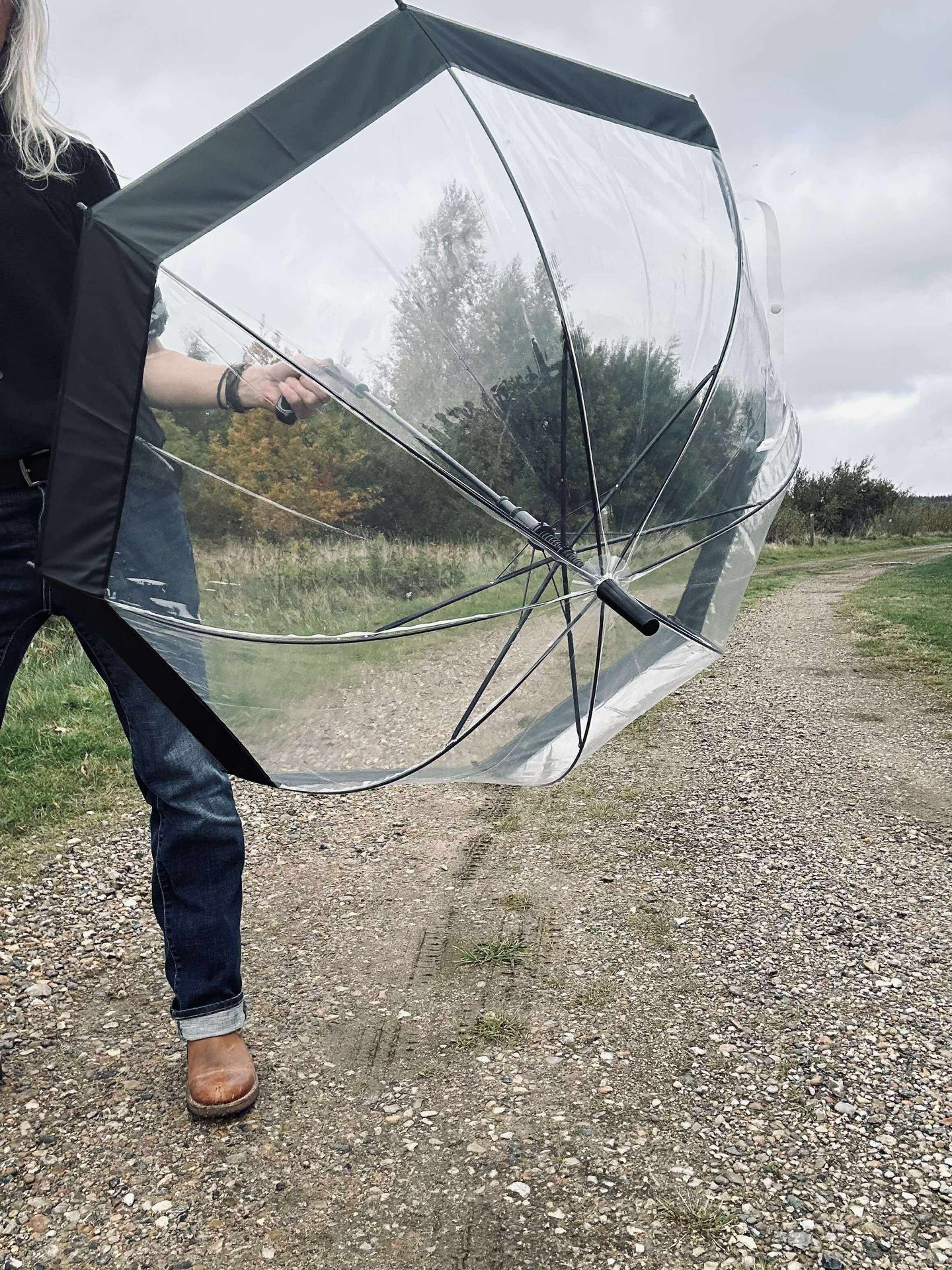 Regenschirm Transparent - Black