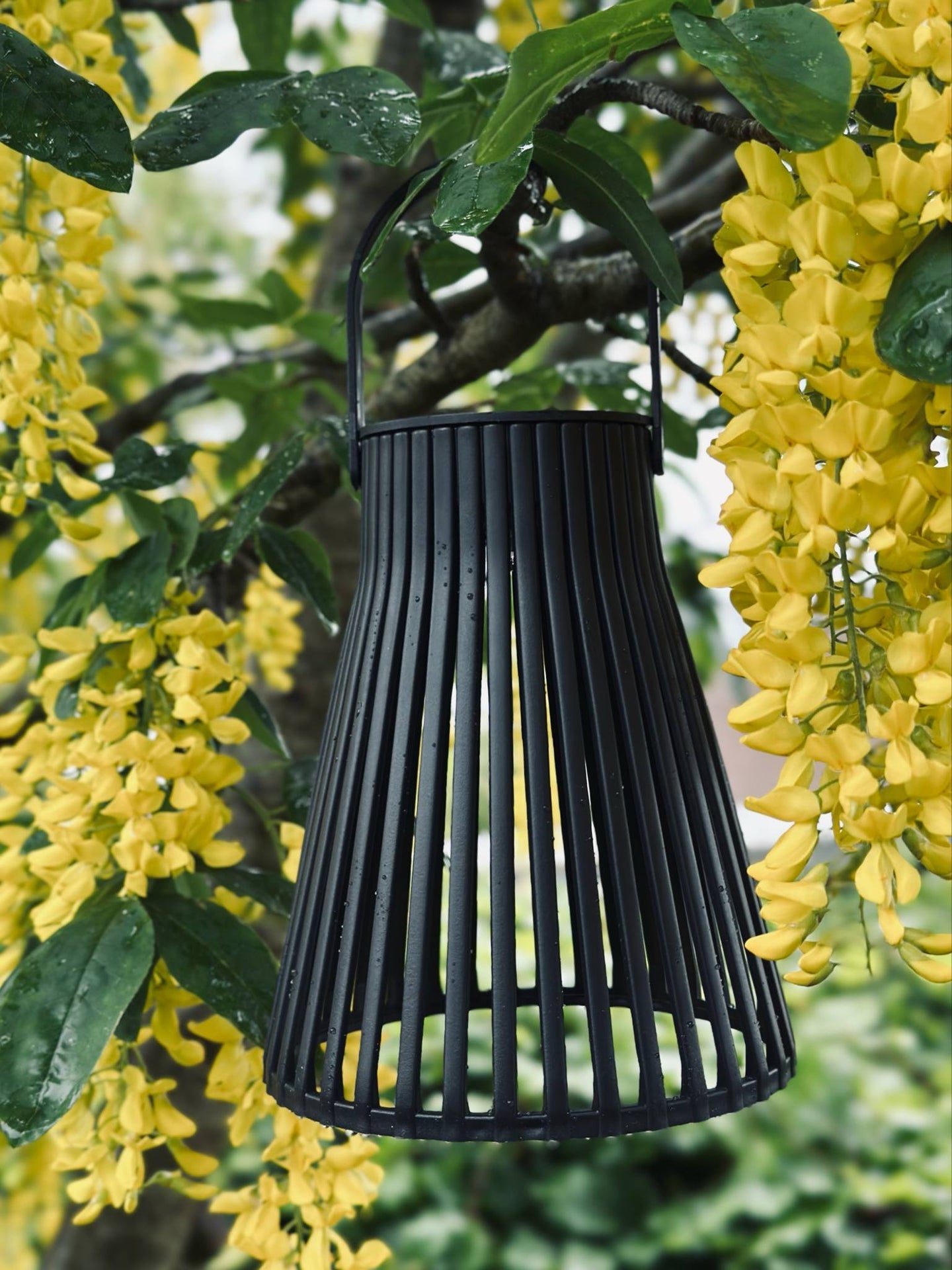 Laterne mit Solarzellen - GARDEN BLACK 14cm