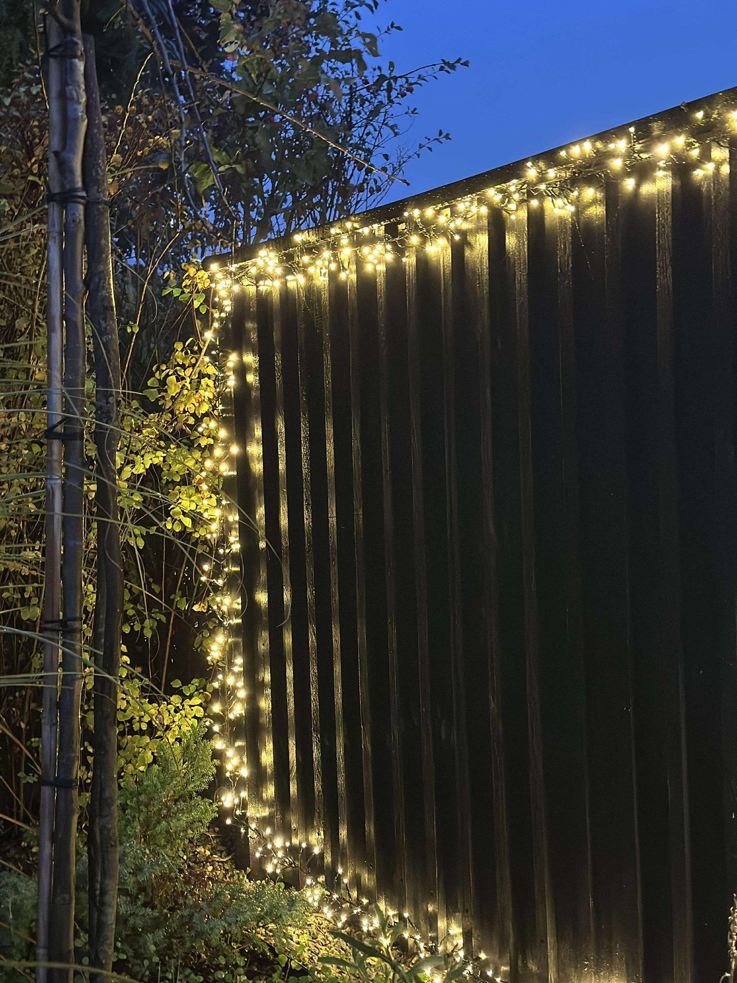 Lichterkette CLUSTER - Warmweiß