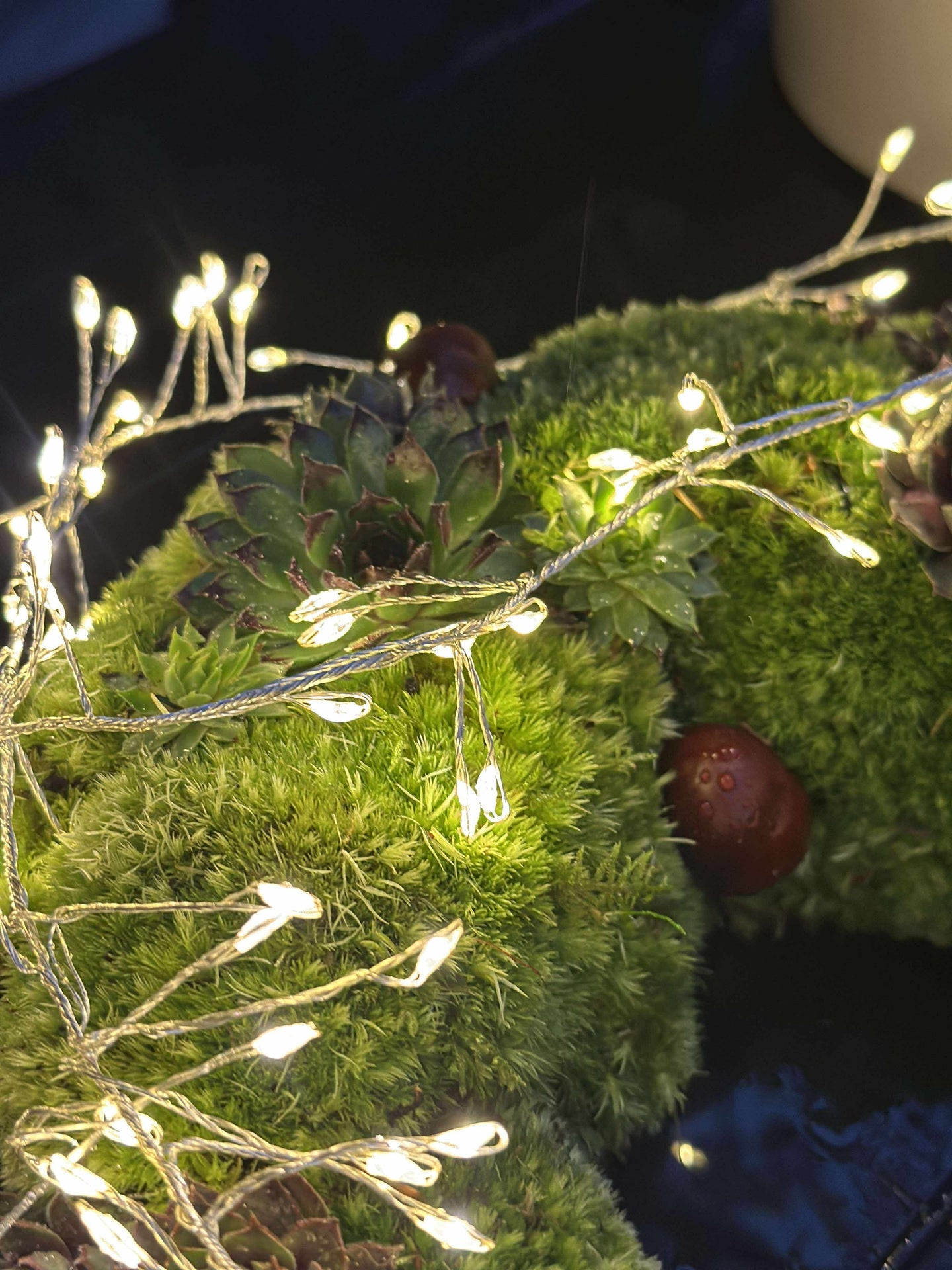 Lichterkette Cluster - Für den Außenbereich zugelassen