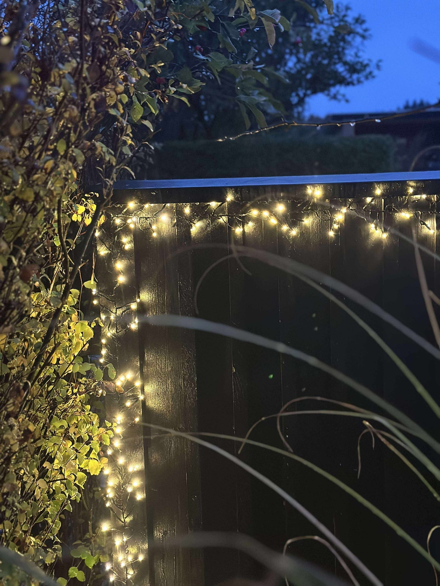 Lichterkette CLUSTER - Warmweiß