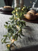 Lichterkette mit grünen Eukalyptusblättern