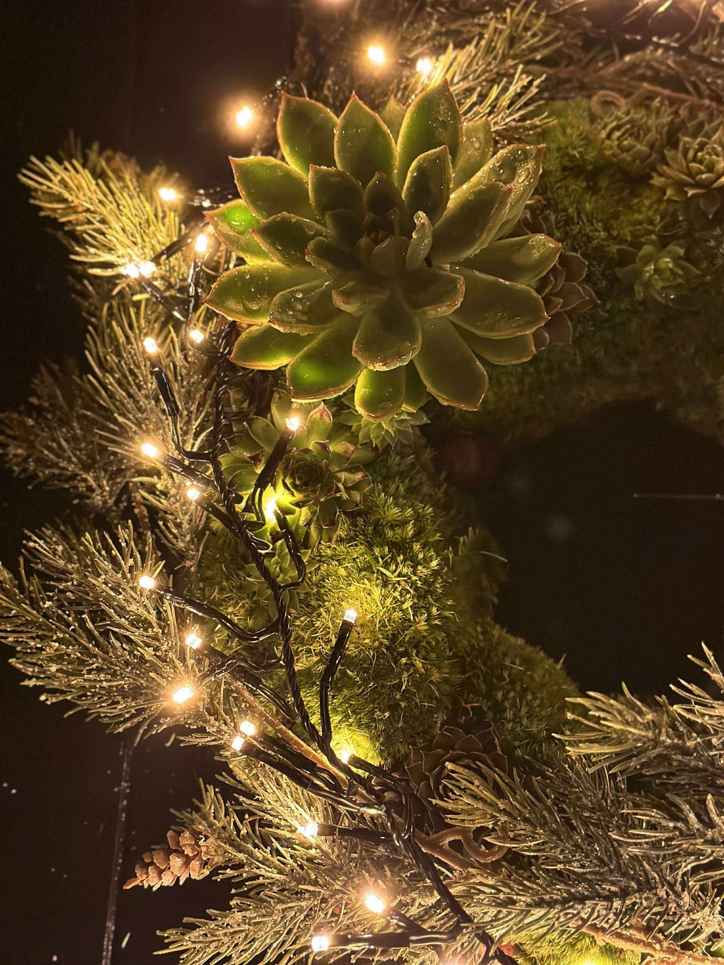 Lichterkette CLUSTER - Extra warm NEUHEIT