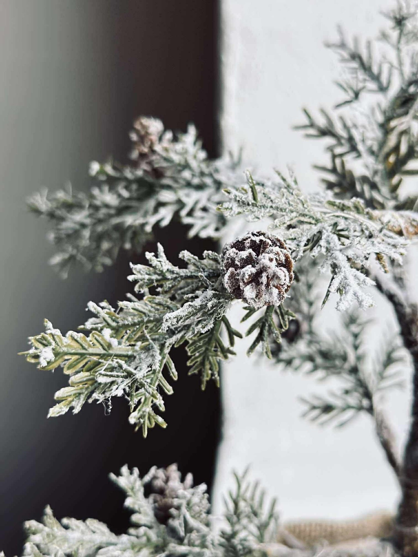 Baum mit Zapfen und Lichterkette