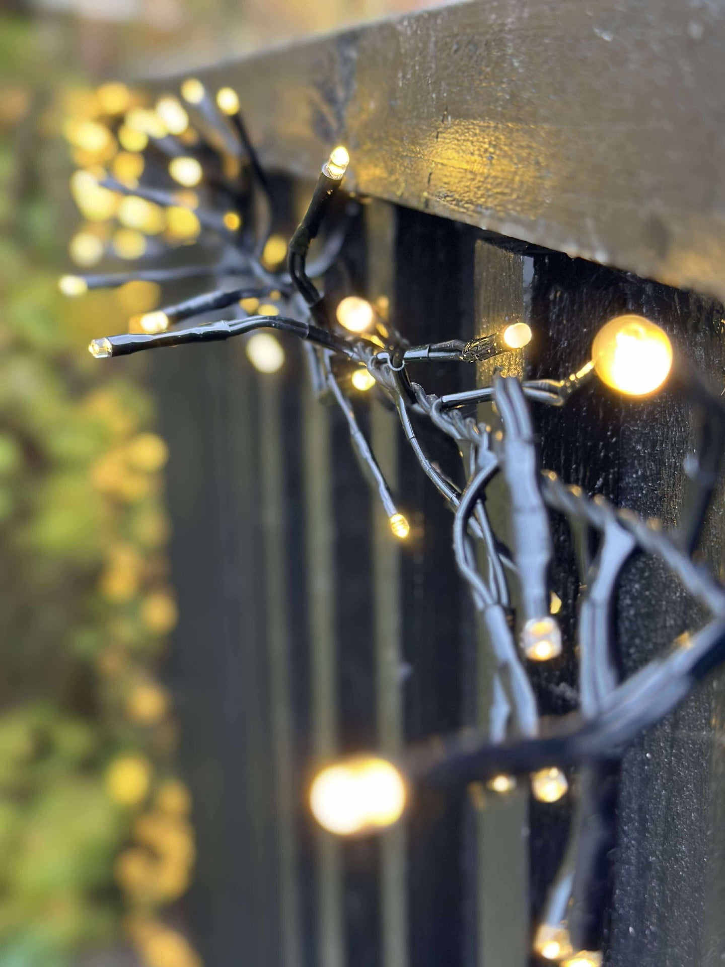 Lichterkette CLUSTER - Warmweiß