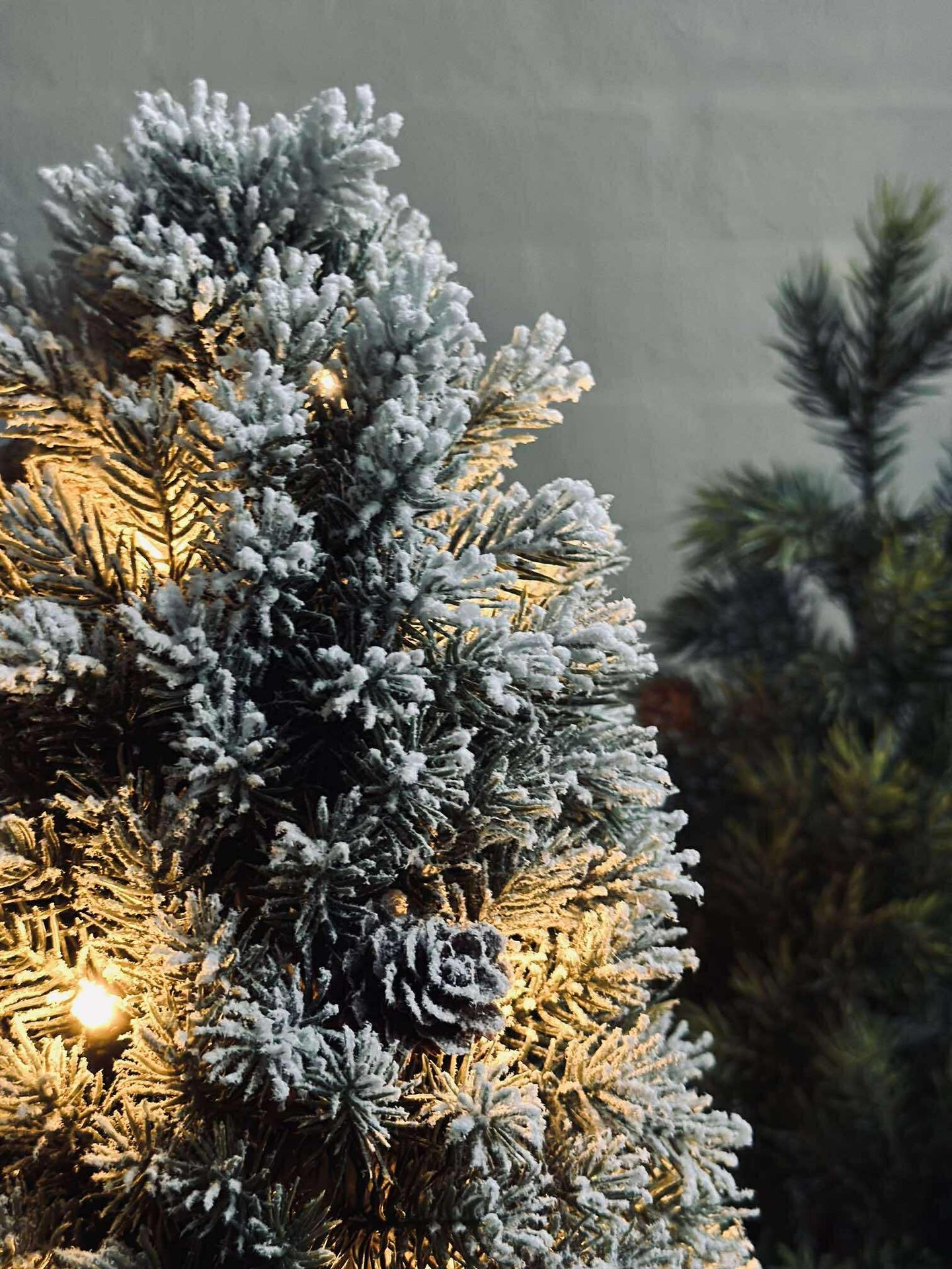 Baum mit Lichterkette